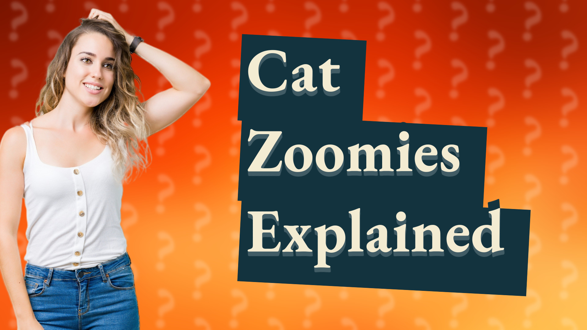 Cat Zoomies Explained