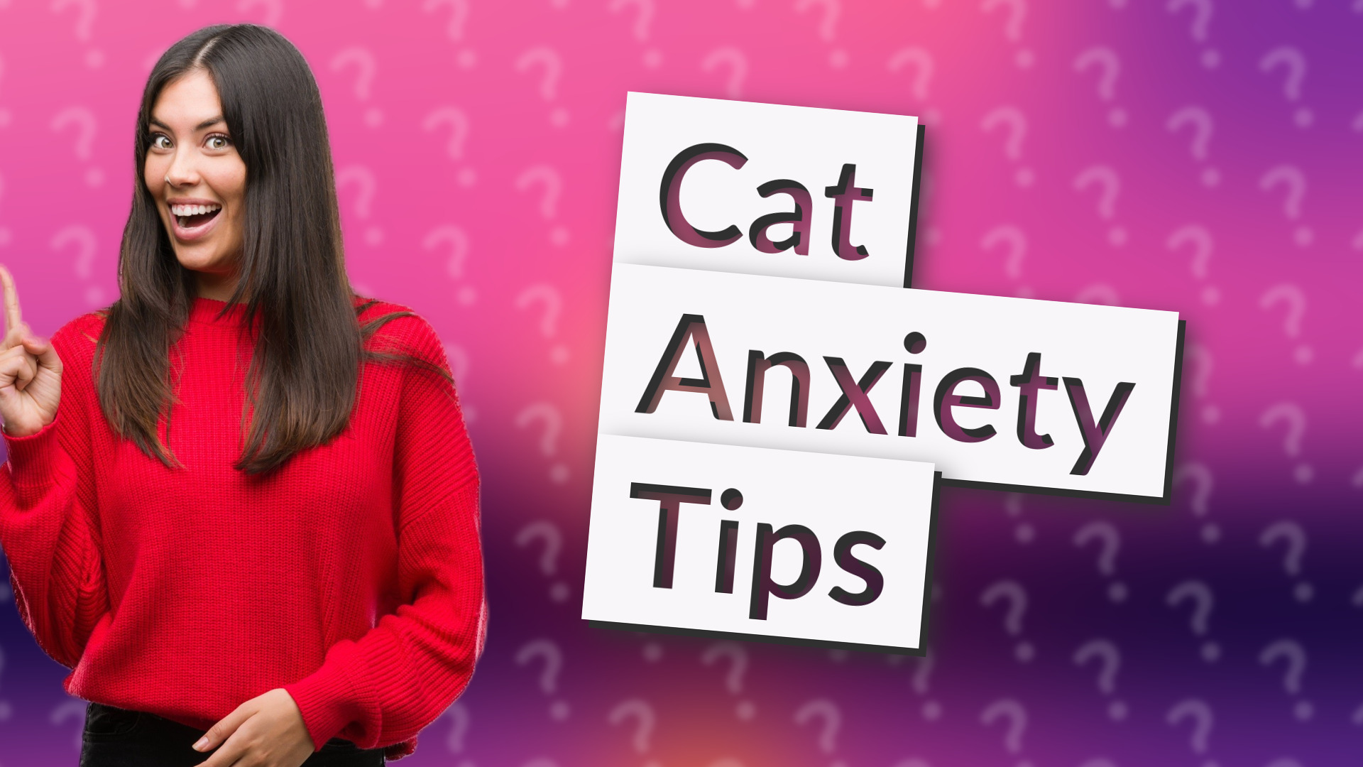 Cat Anxiety Tips
