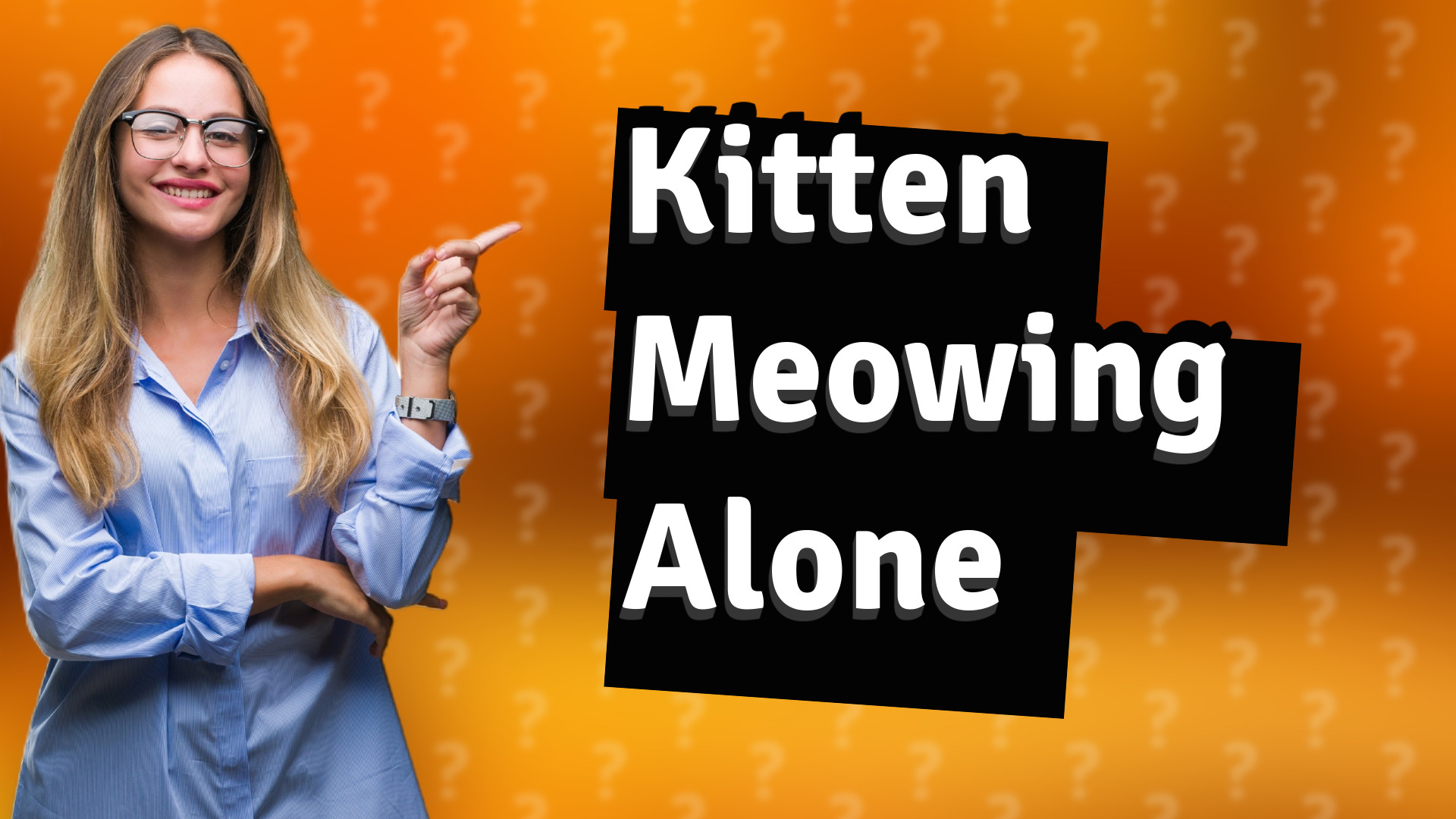 Kitten Meowing Alone