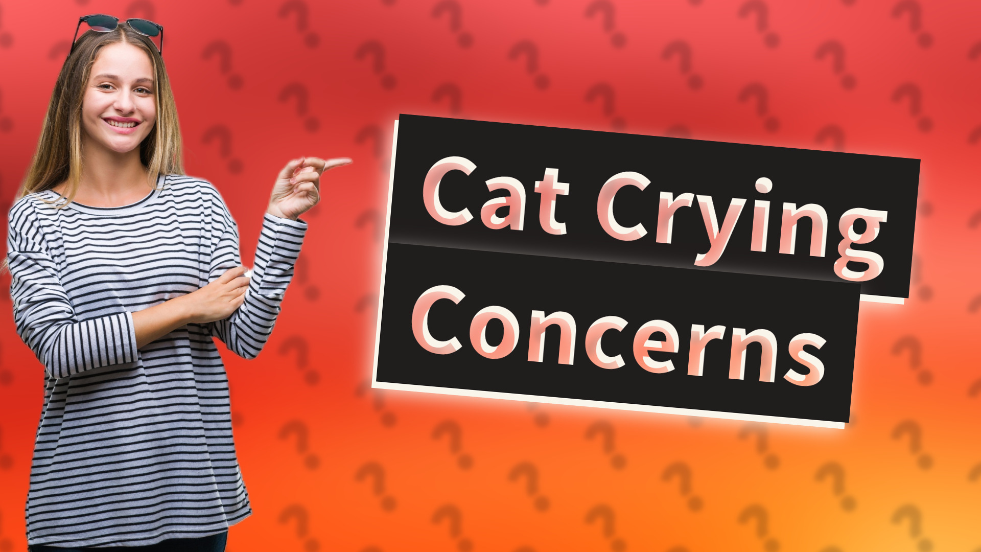 Cat Crying Concerns