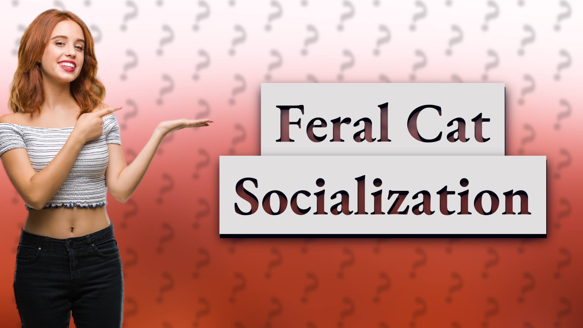 Feral Cat Socialization