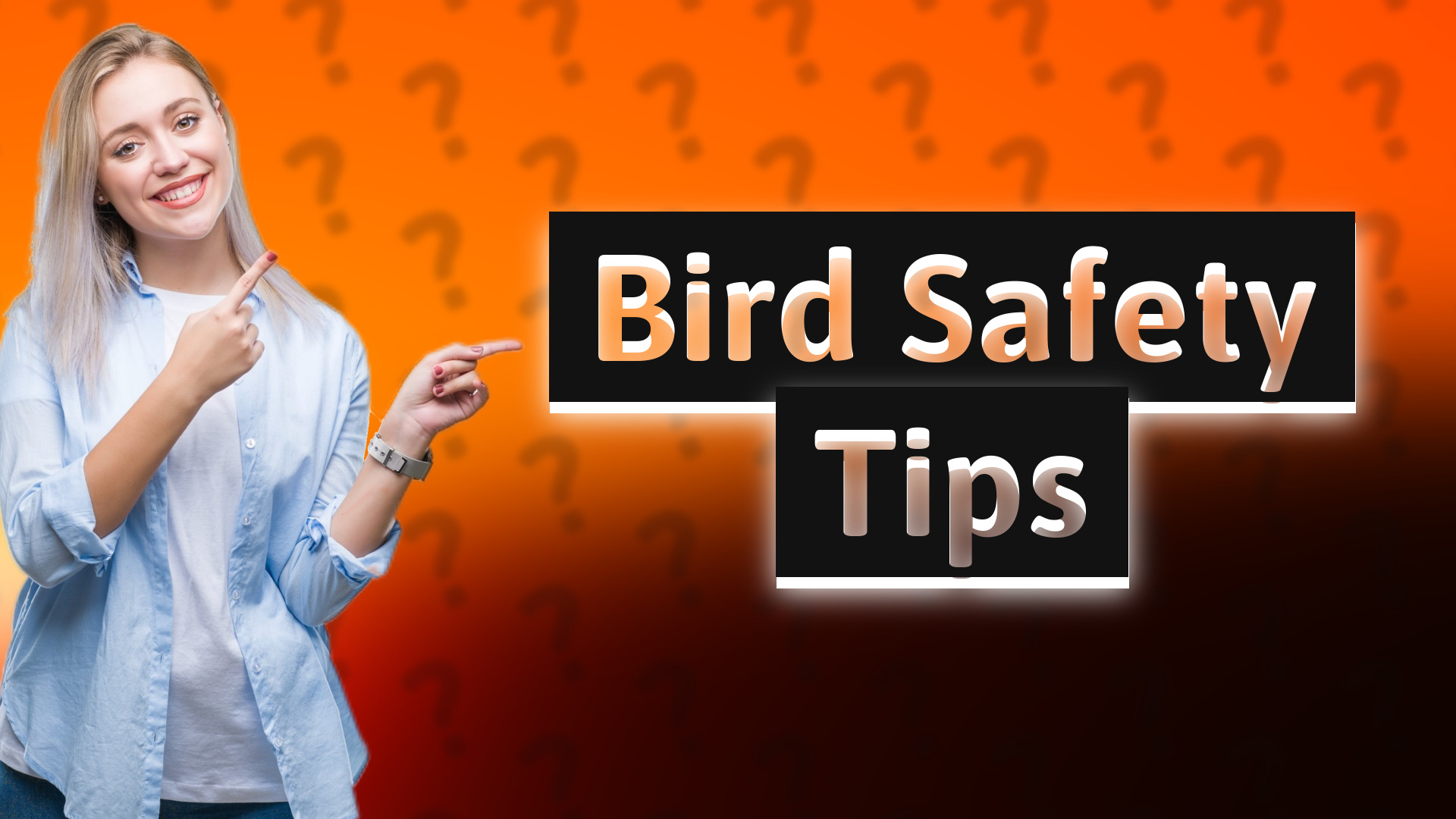 Bird Safety Tips