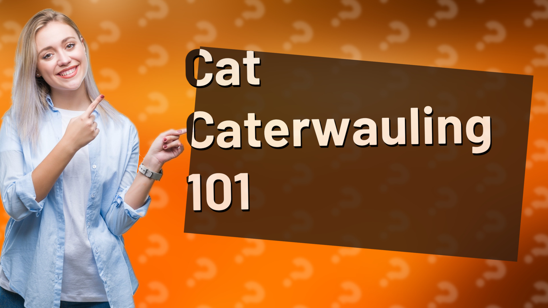 Cat Caterwauling 101