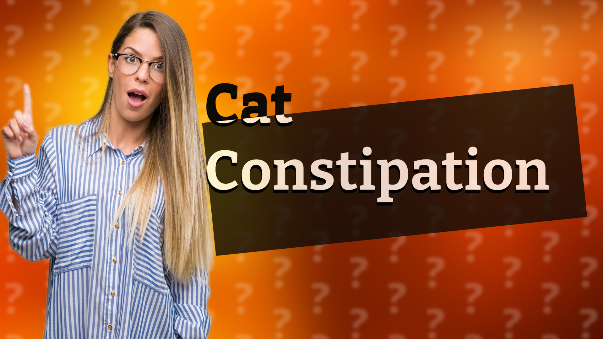 Cat Constipation
