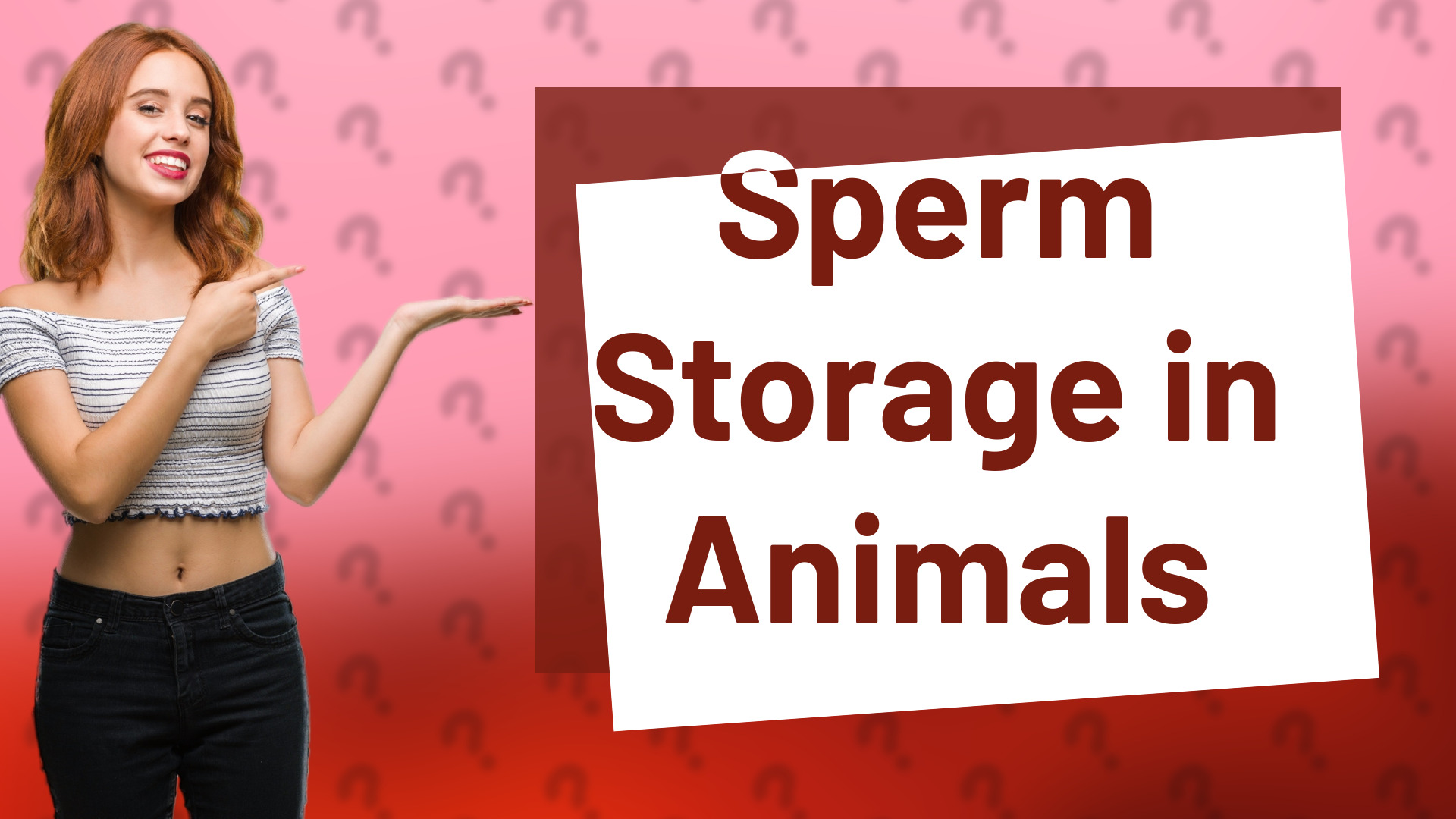 Sperm Storage in Animals