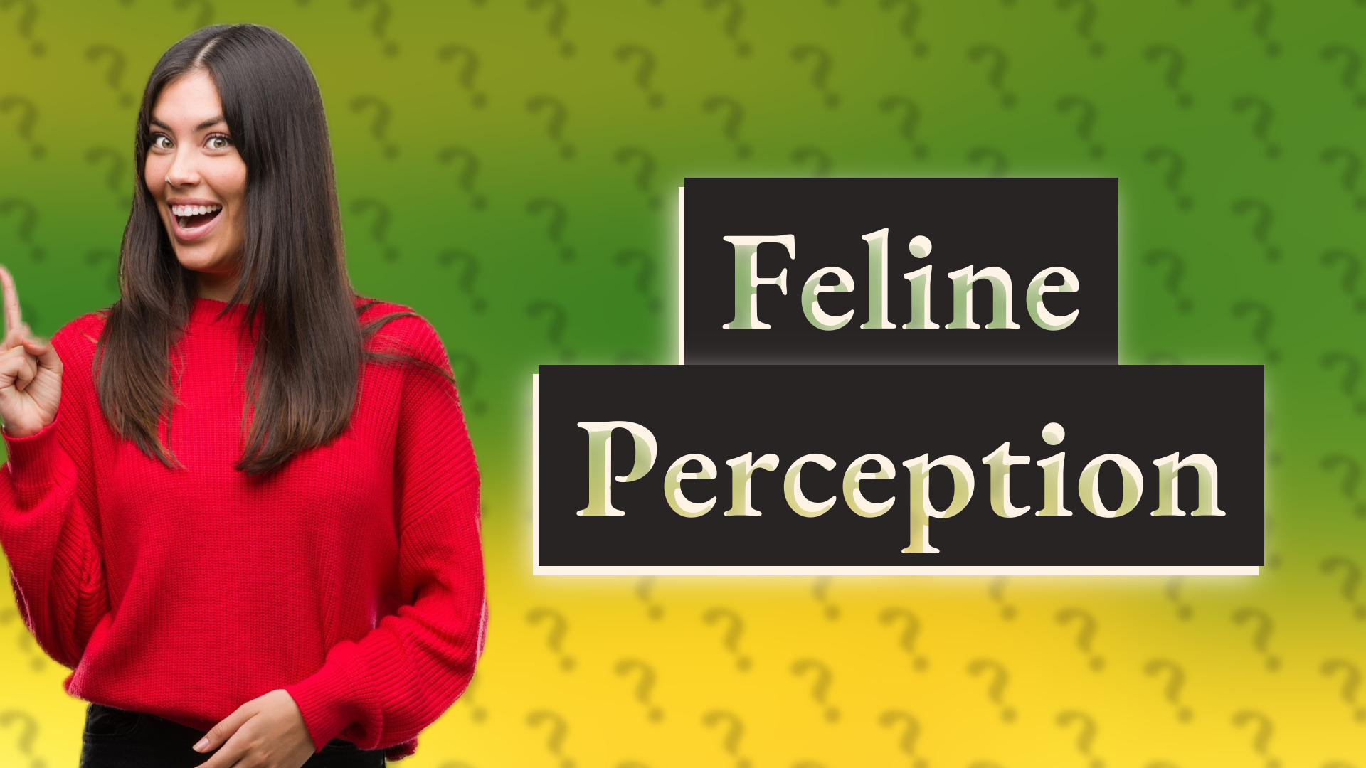 Feline Perception