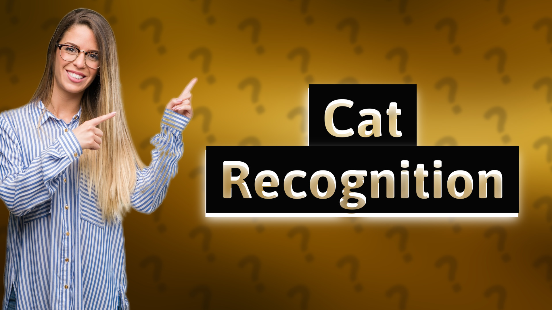 Cat Recognition