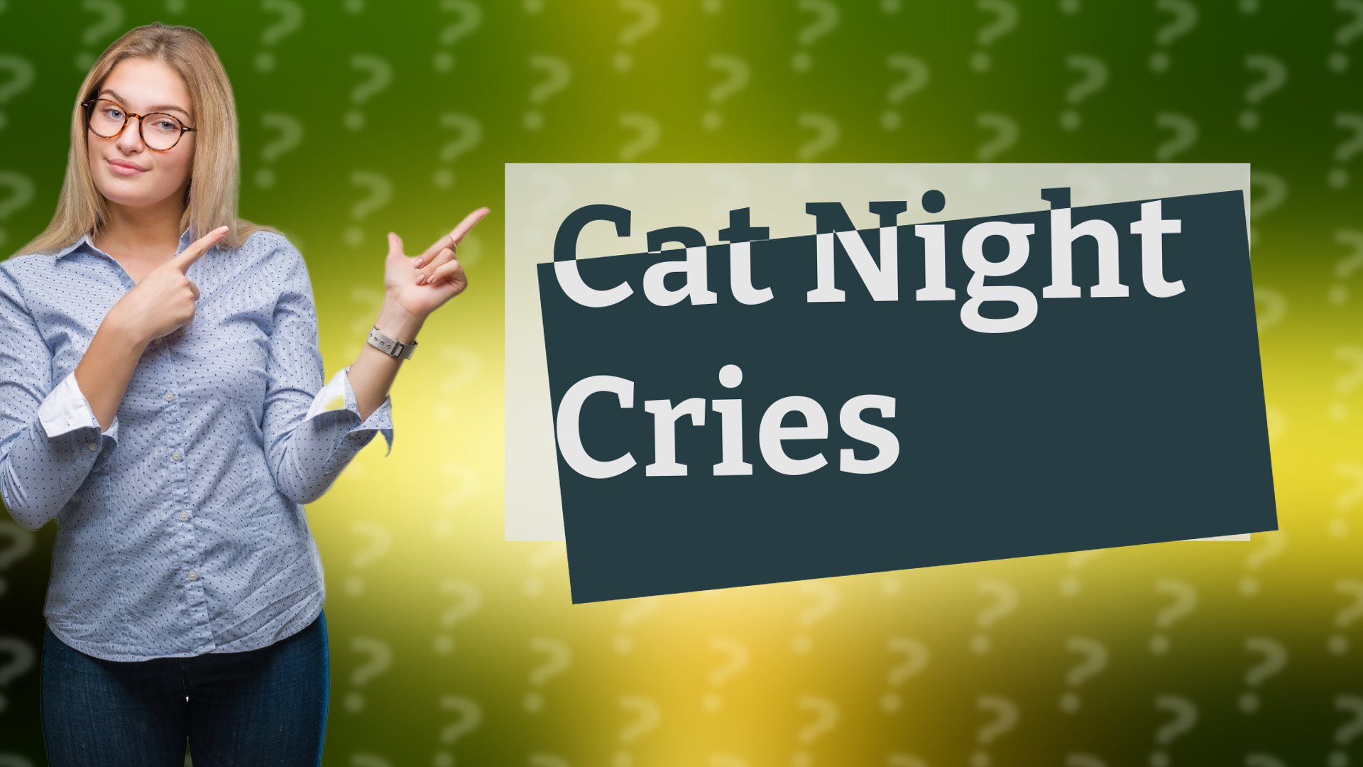 Cat Night Cries