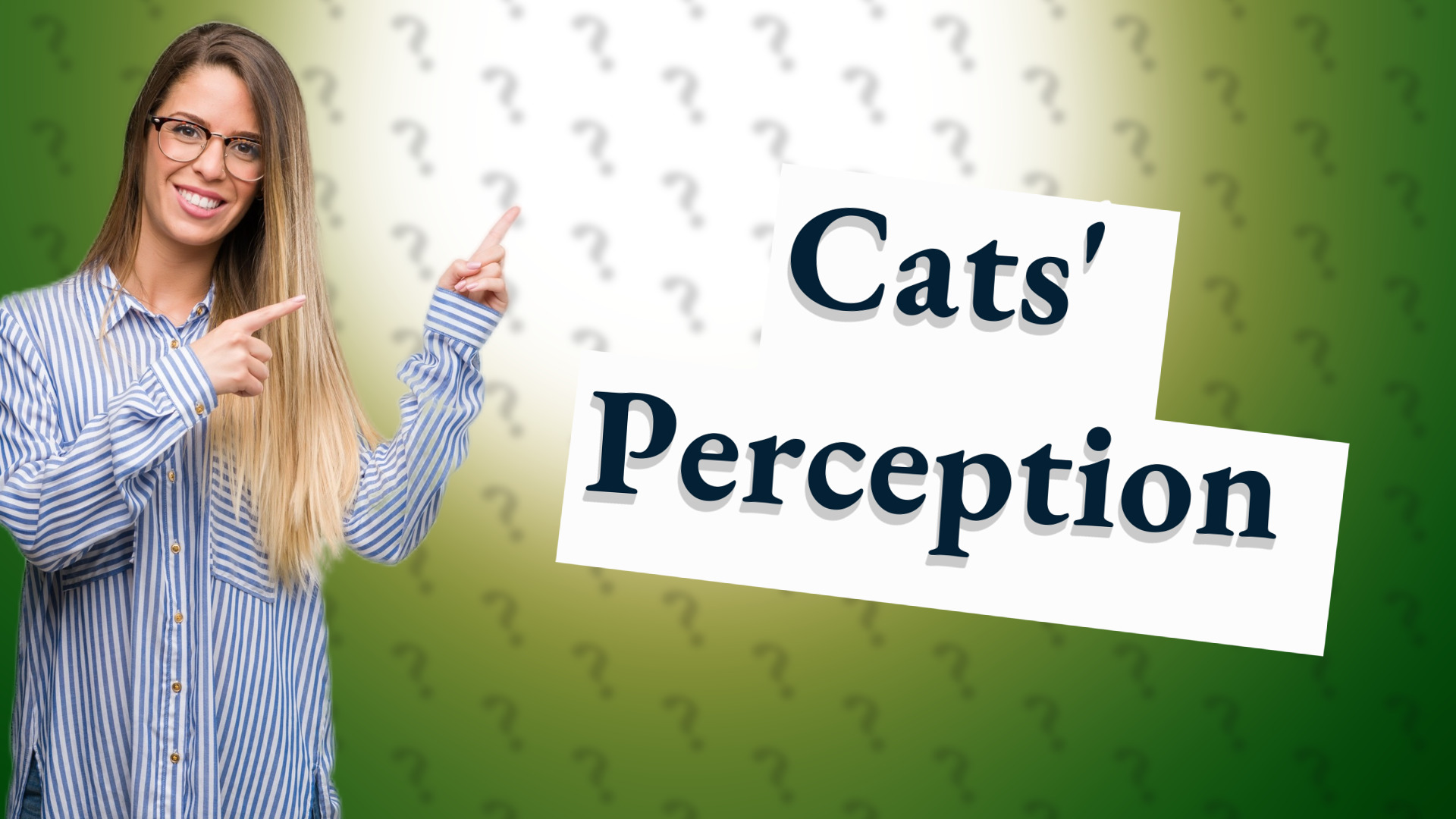 Cats' Perception
