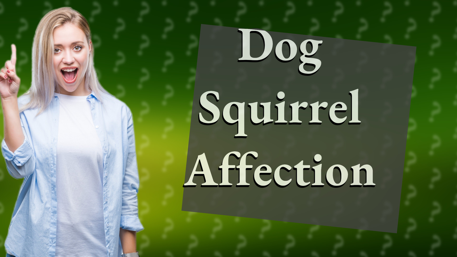 Dog Squirrel Affection