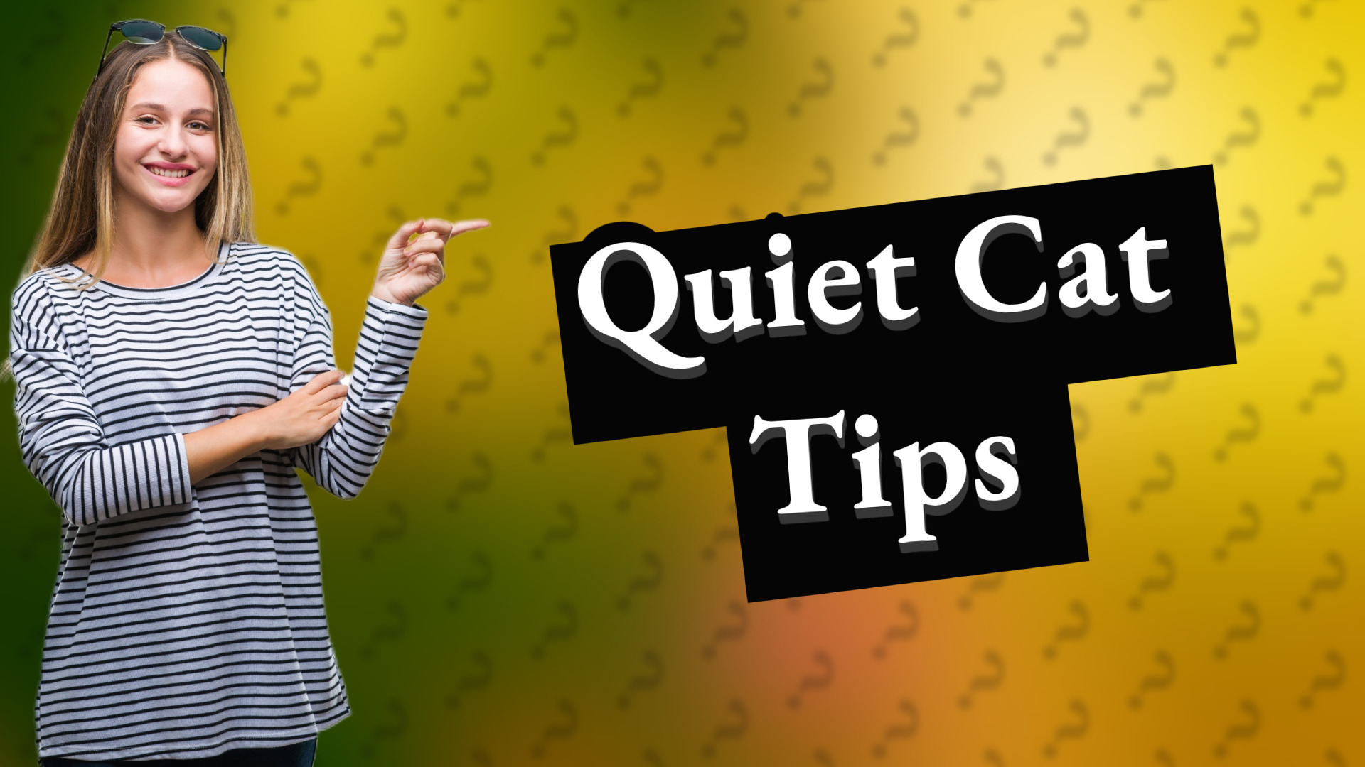 Quiet Cat Tips