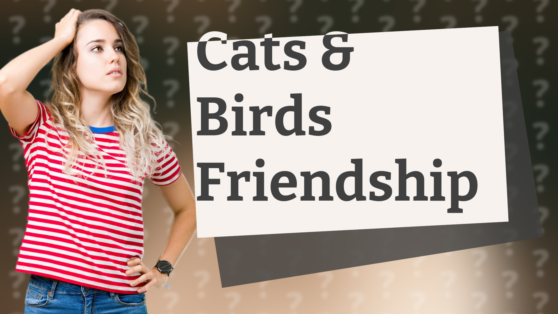 Cats & Birds Friendship