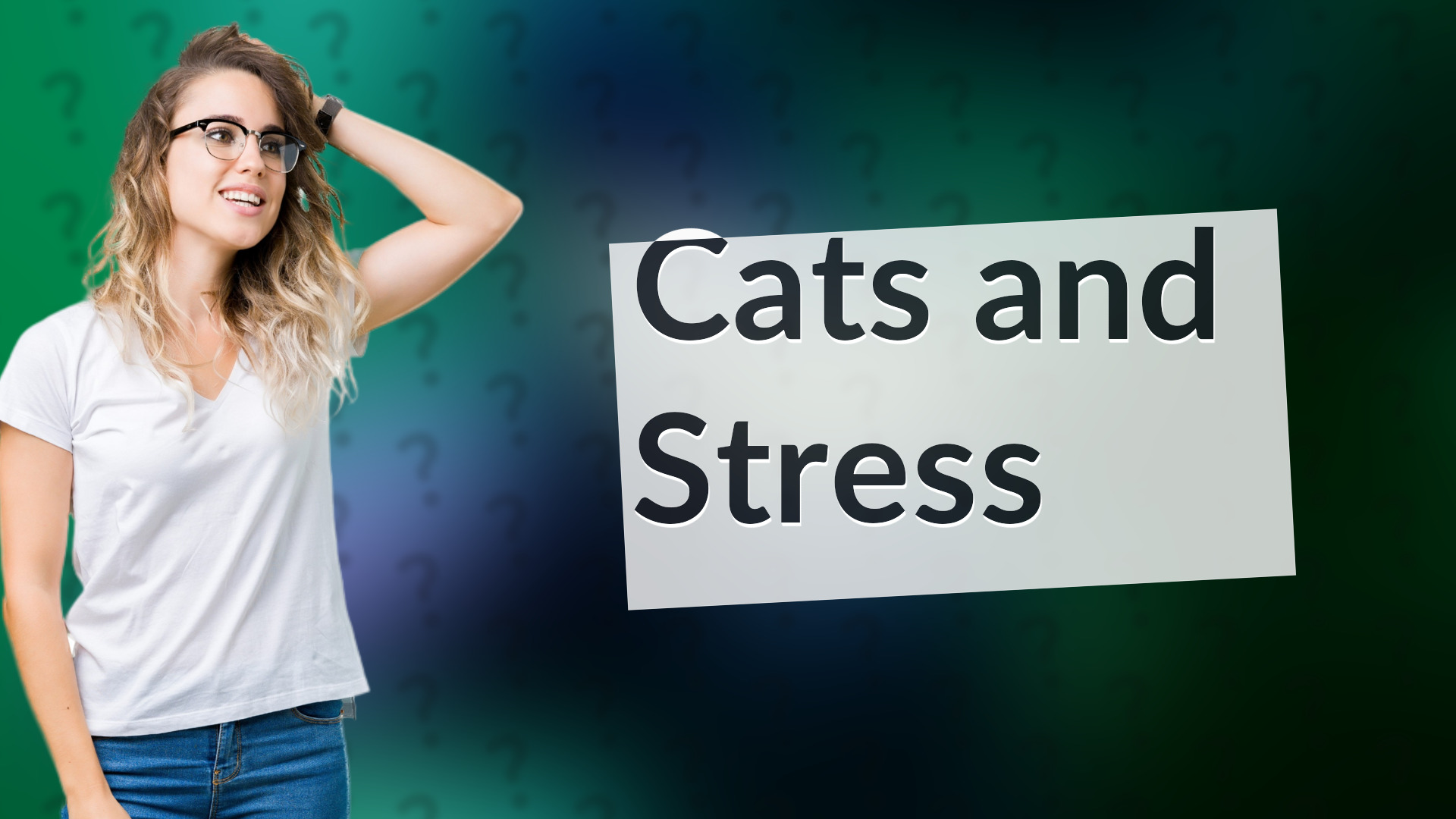 Cats and Stress