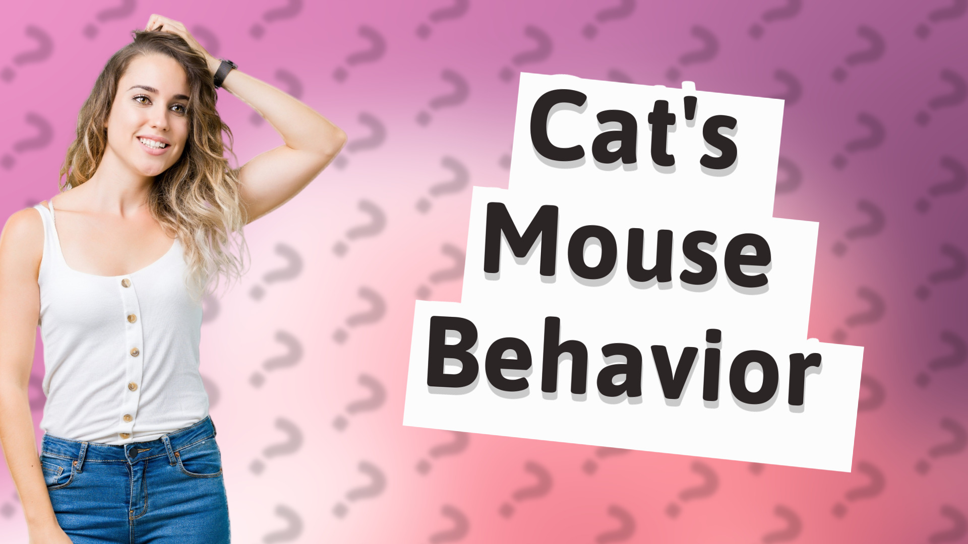 Cat's Mouse Behavior