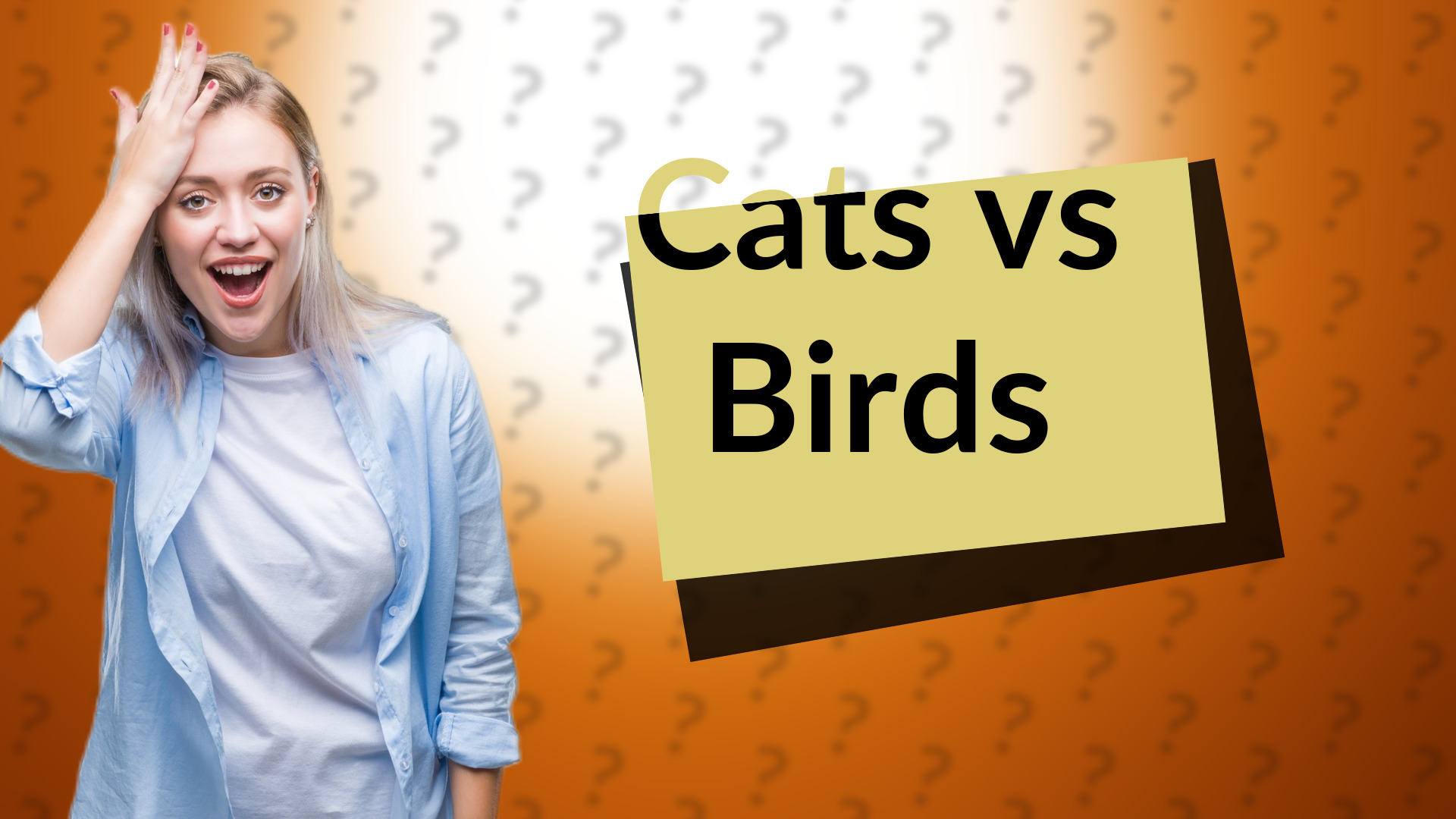 Cats vs Birds