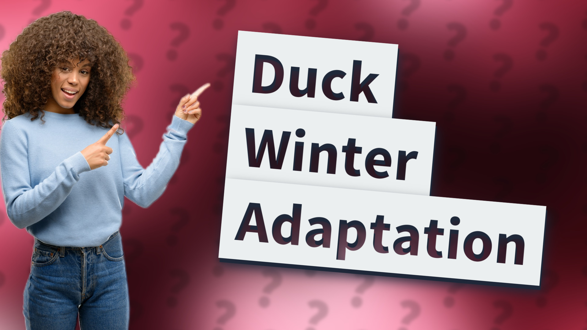 Duck Winter Adaptation
