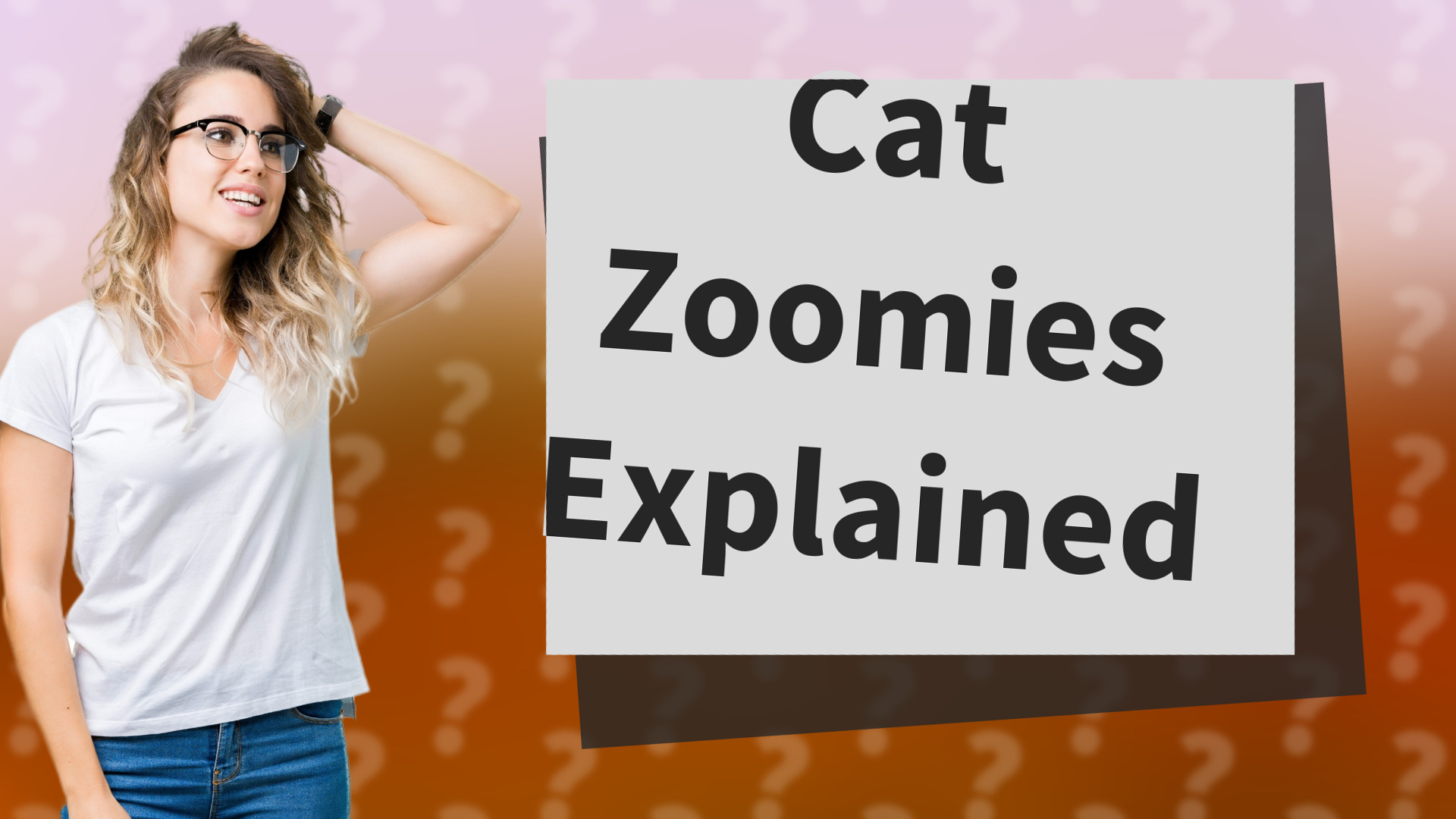 Cat Zoomies Explained