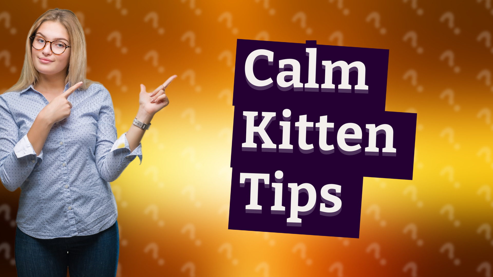 Calm Kitten Tips
