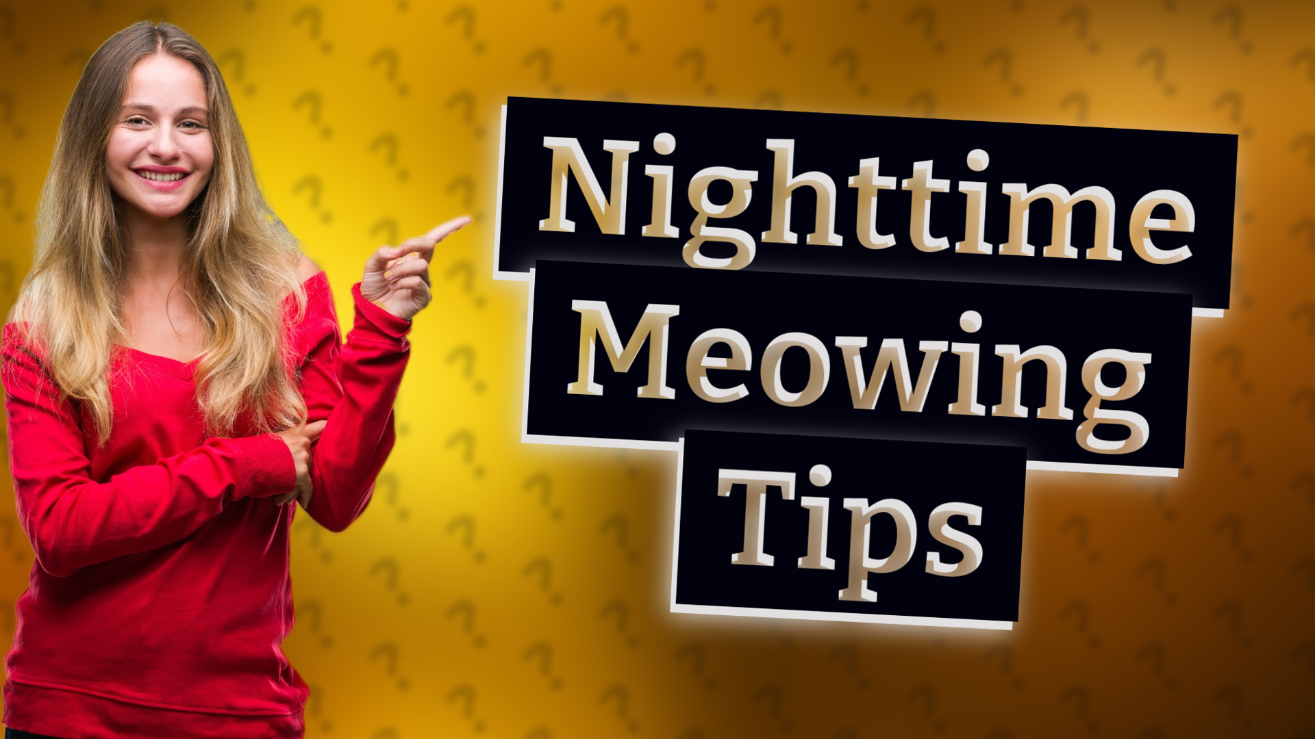 Nighttime Meowing Tips