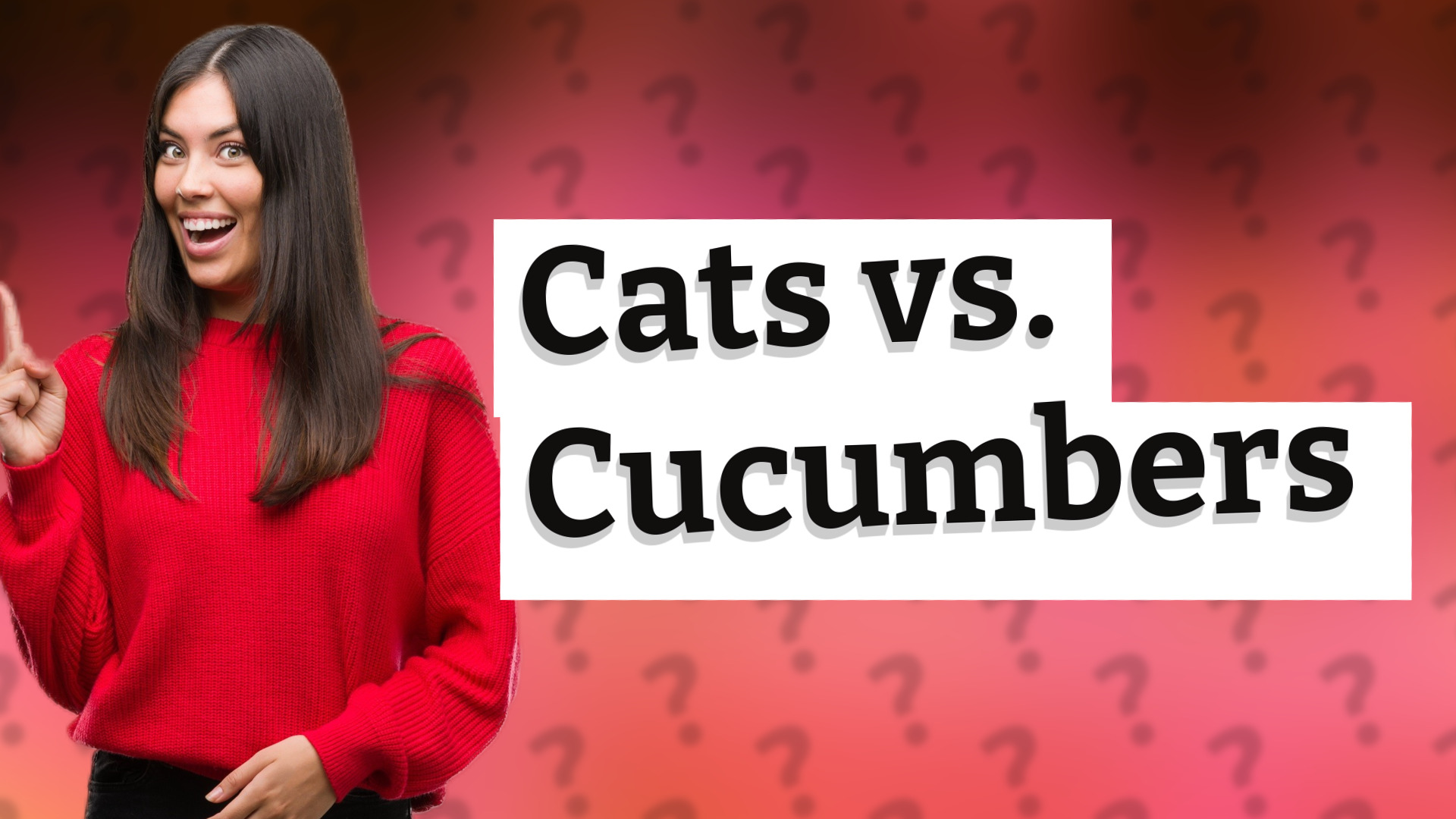 Cats vs. Cucumbers