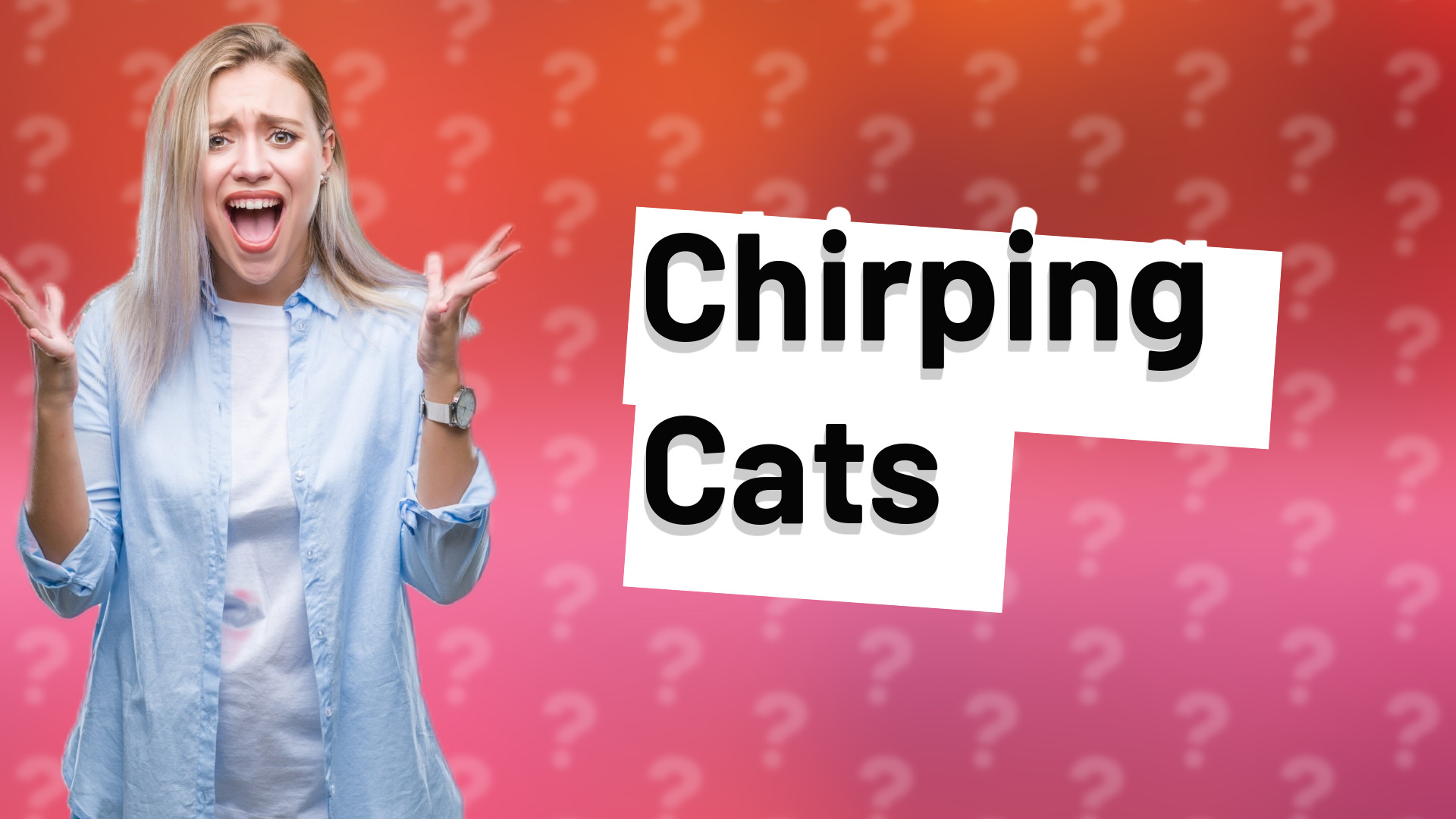 Chirping Cats