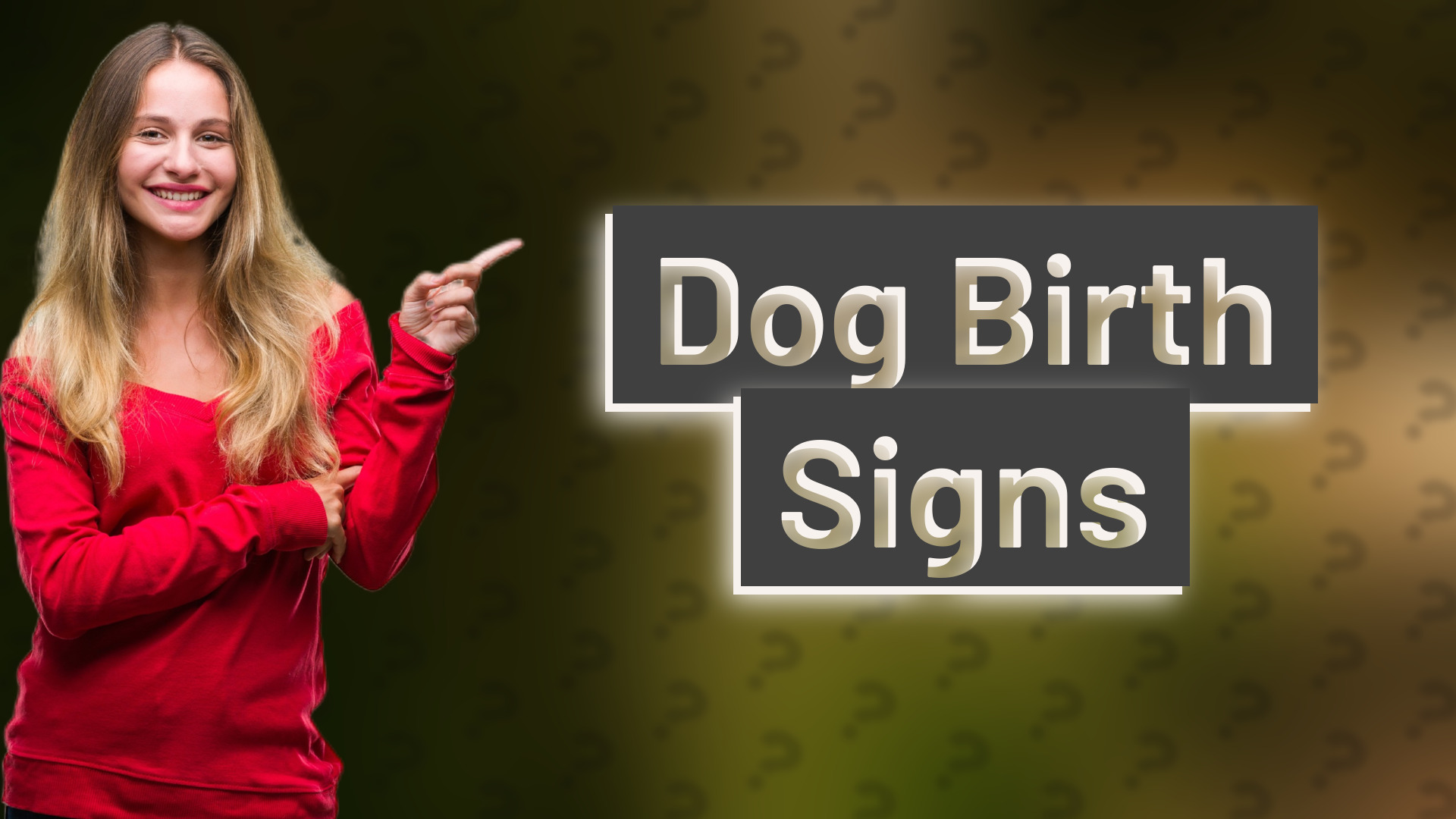 Dog Birth Signs