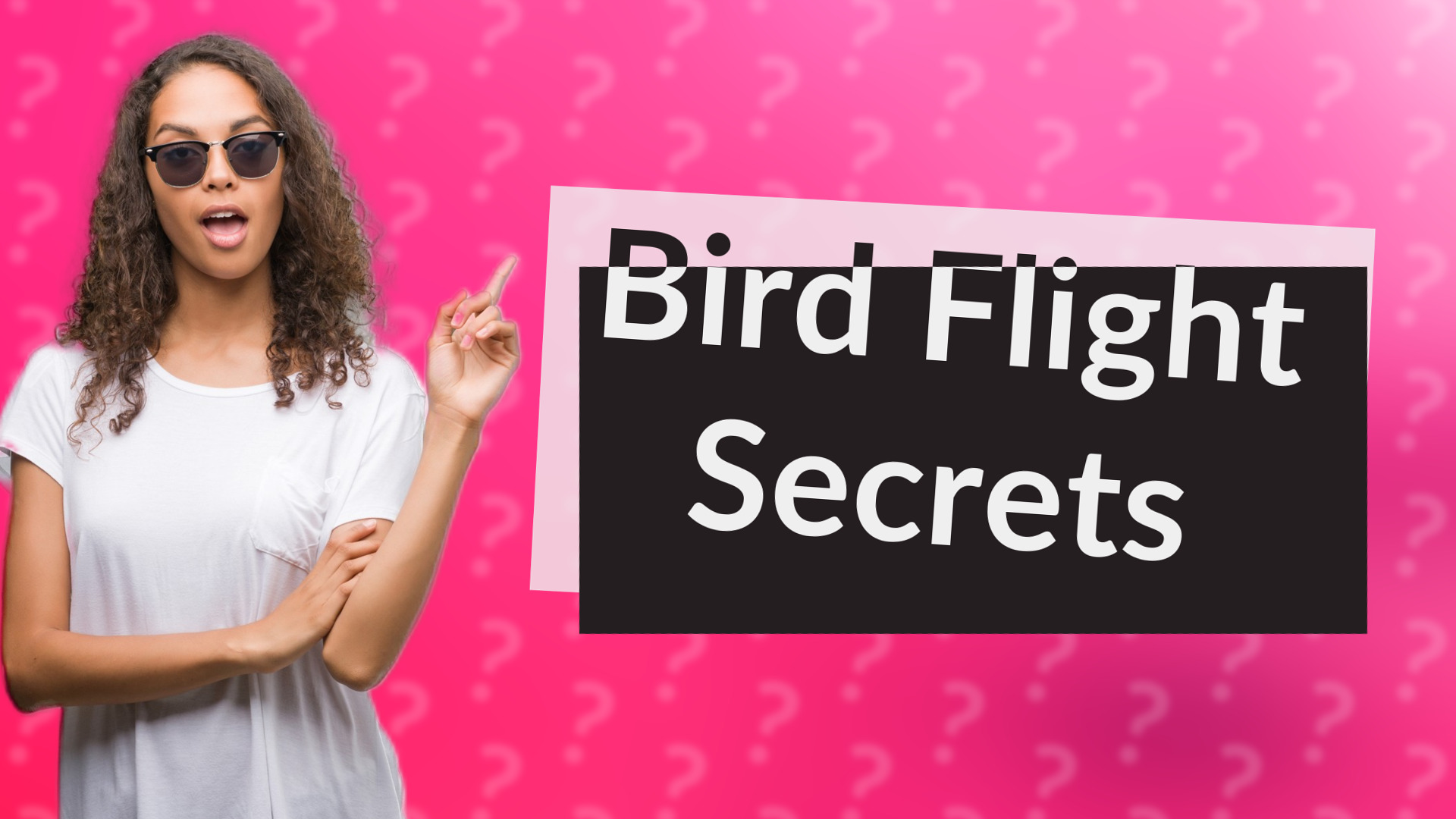 Bird Flight Secrets