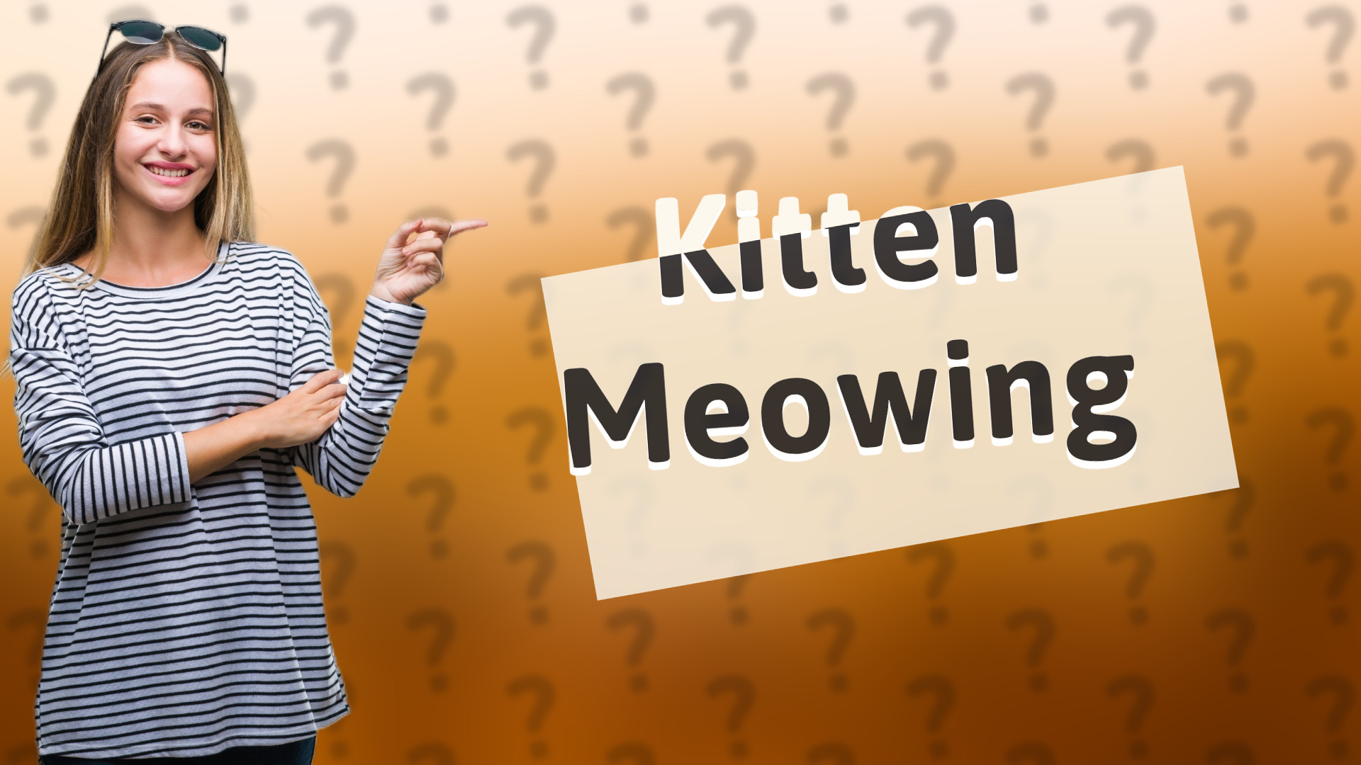Kitten Meowing