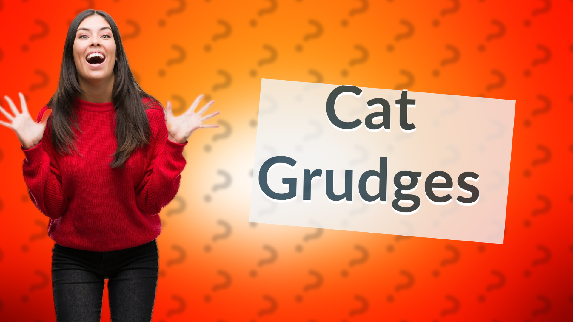 Cat Grudges