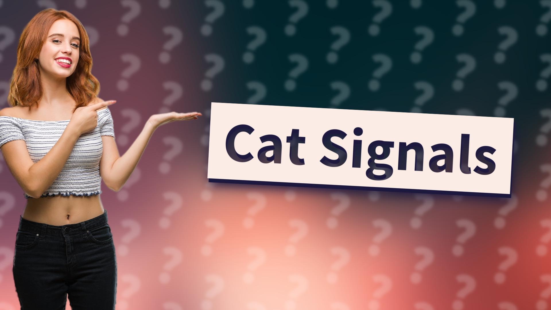 Cat Signals