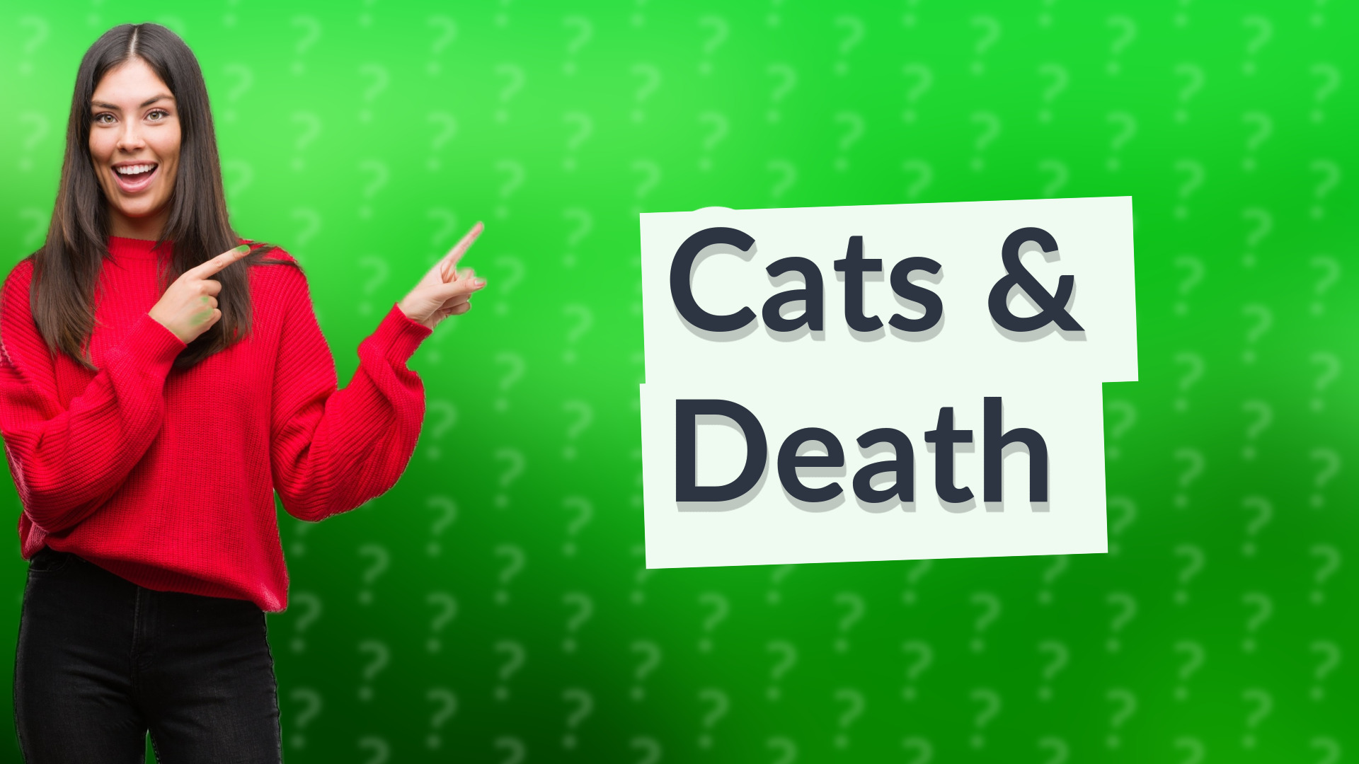 Cats & Death