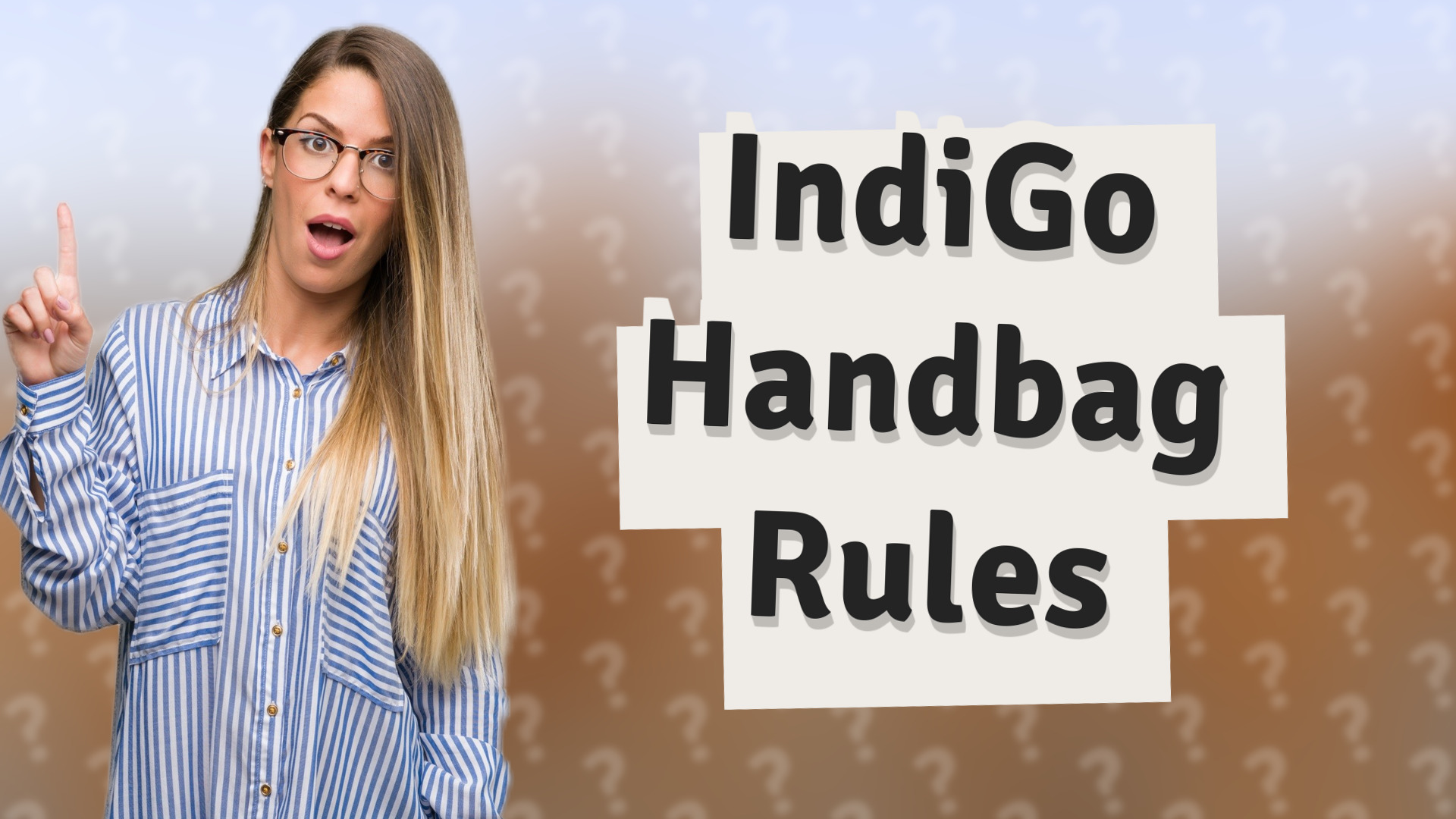 IndiGo Handbag Rules