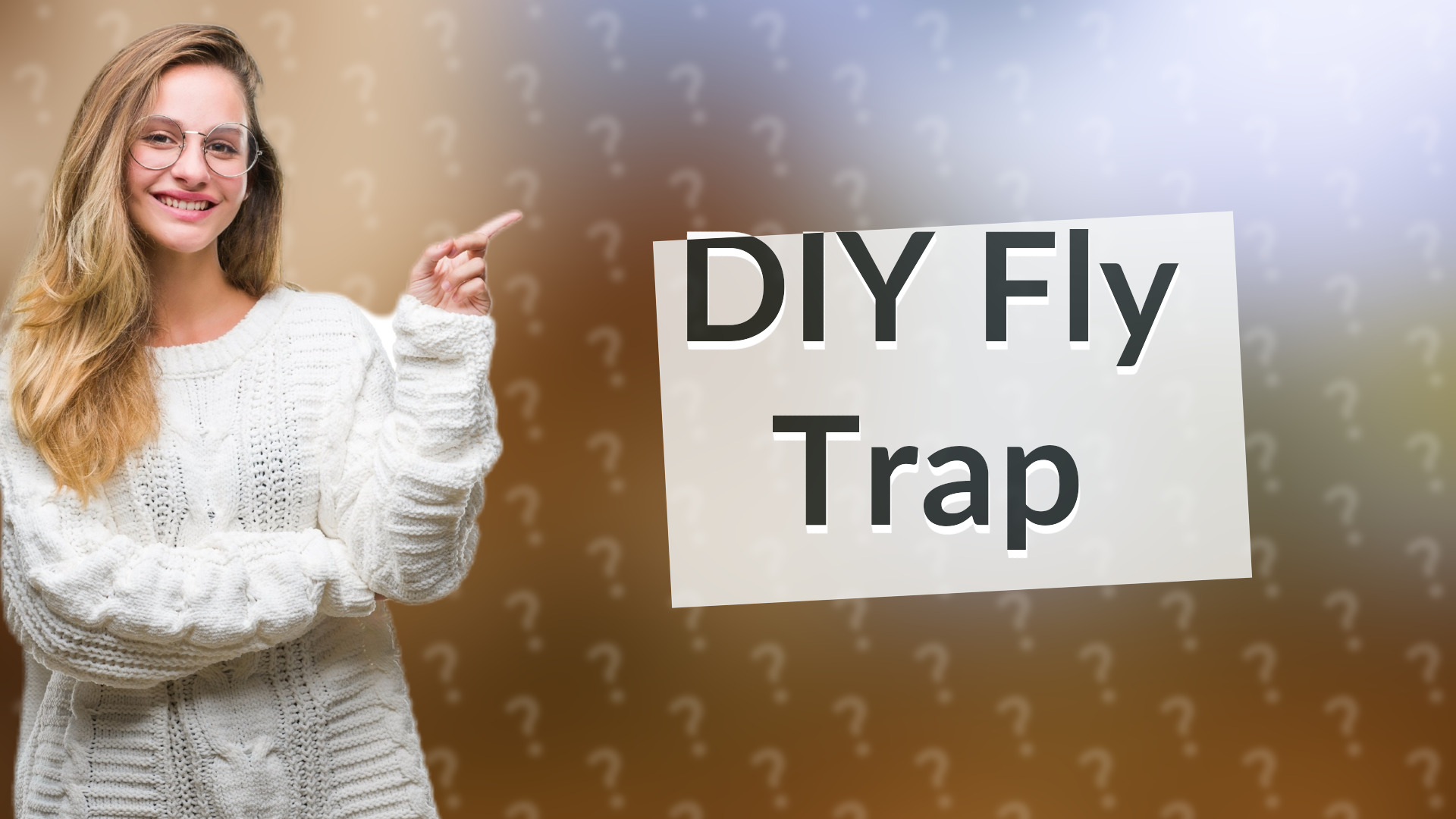 DIY Fly Trap