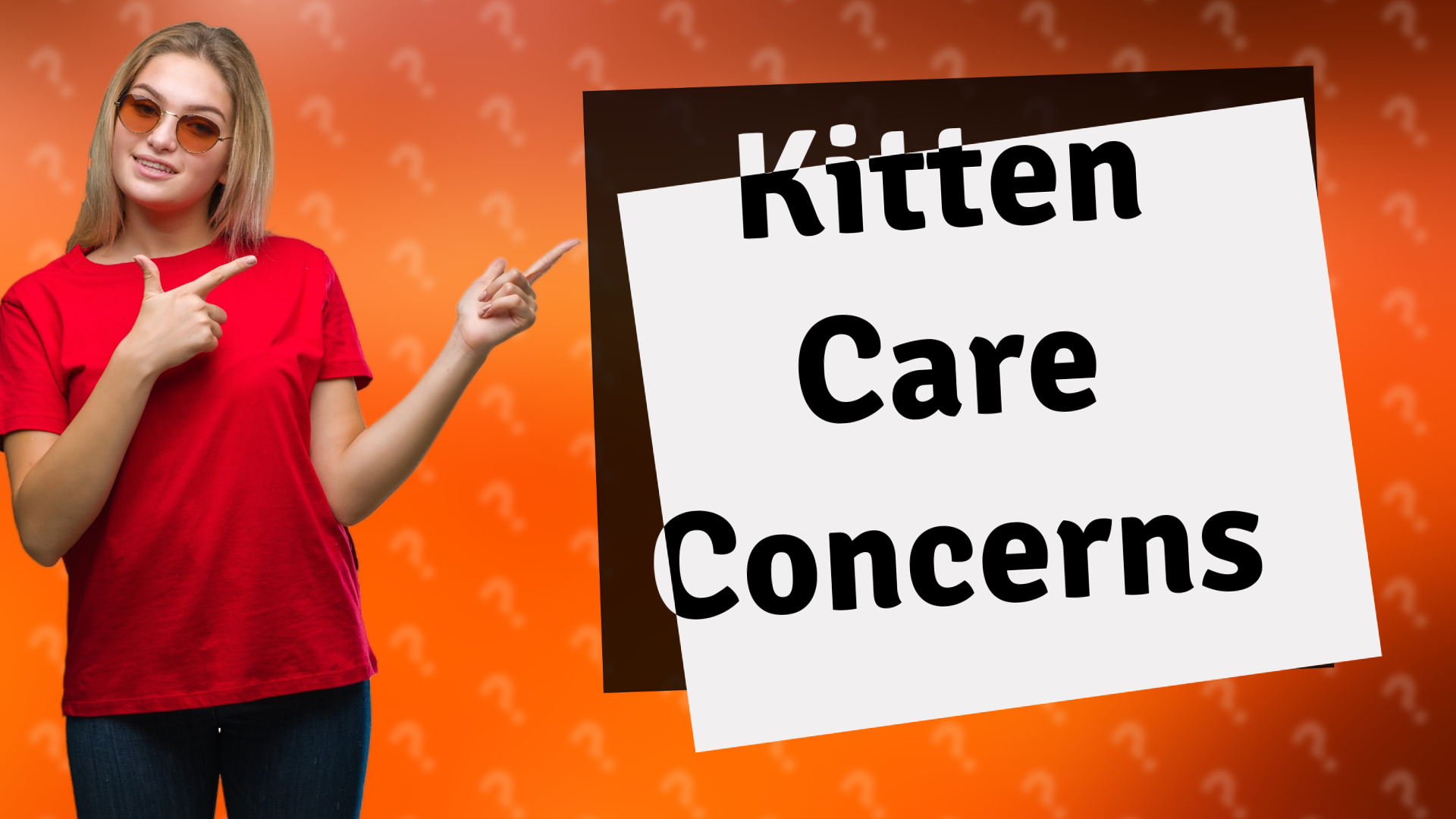 Kitten Care Concerns