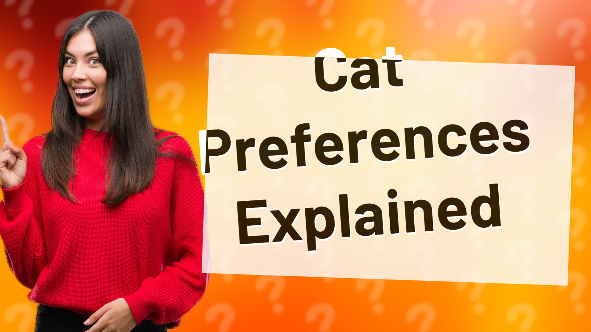 Cat Preferences Explained