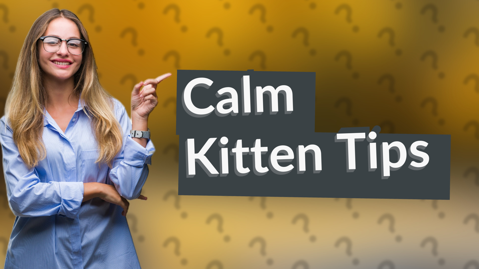 Calm Kitten Tips