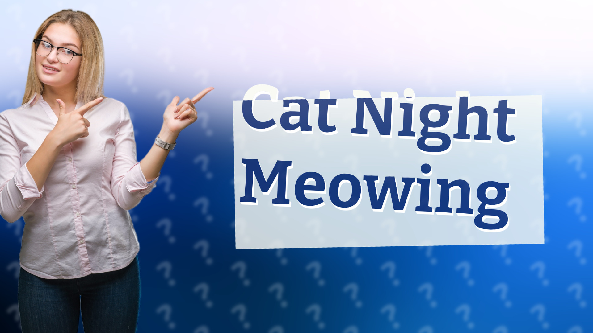 Cat Night Meowing