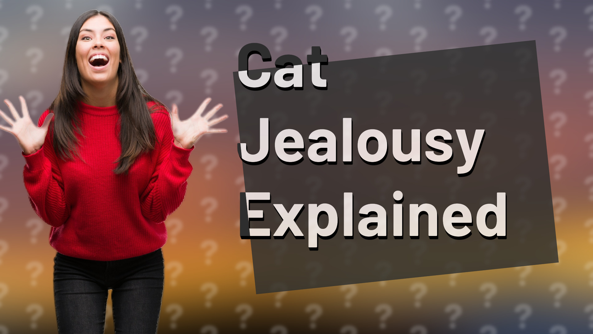 Cat Jealousy Explained