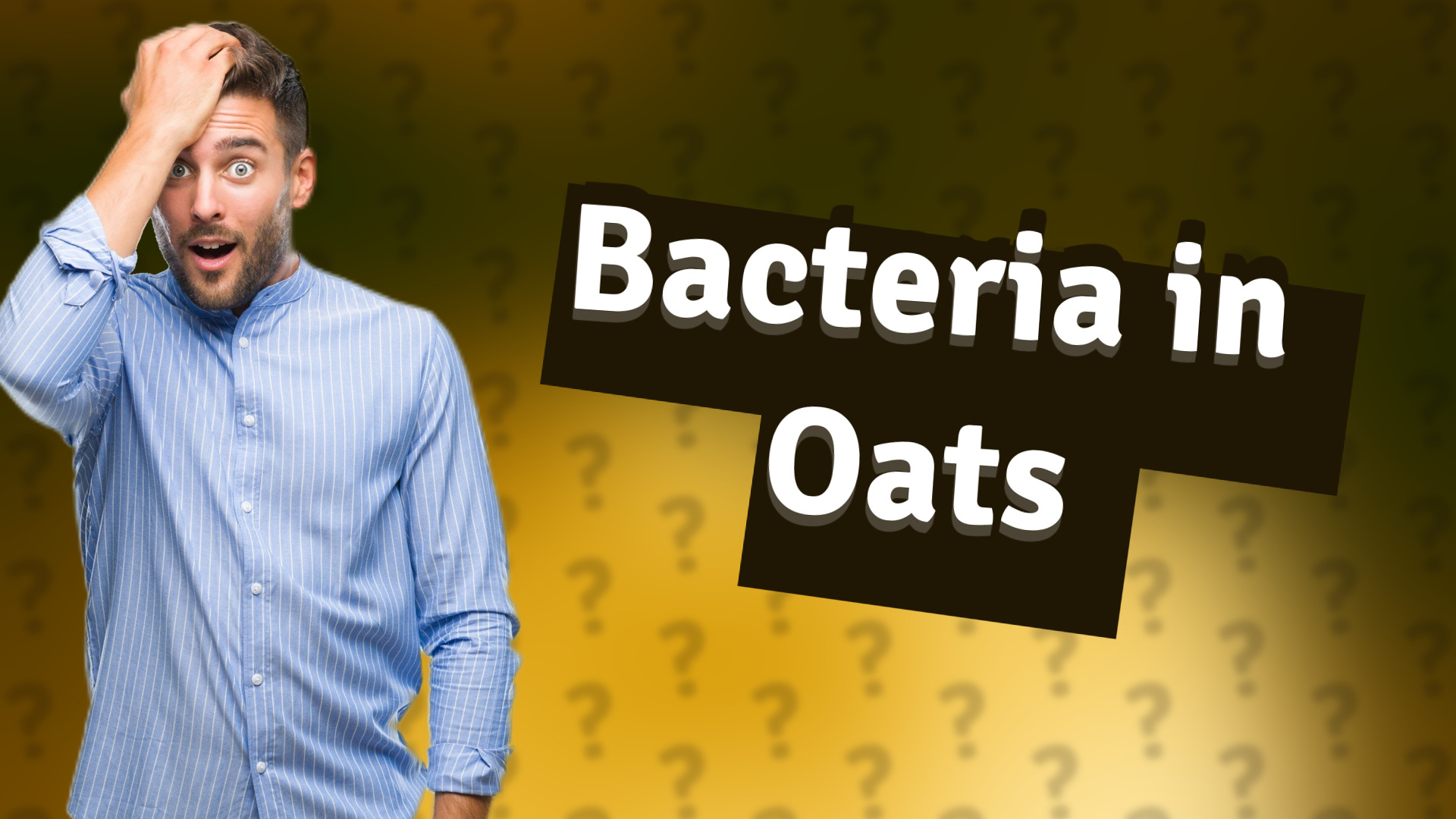 Bacteria in Oats
