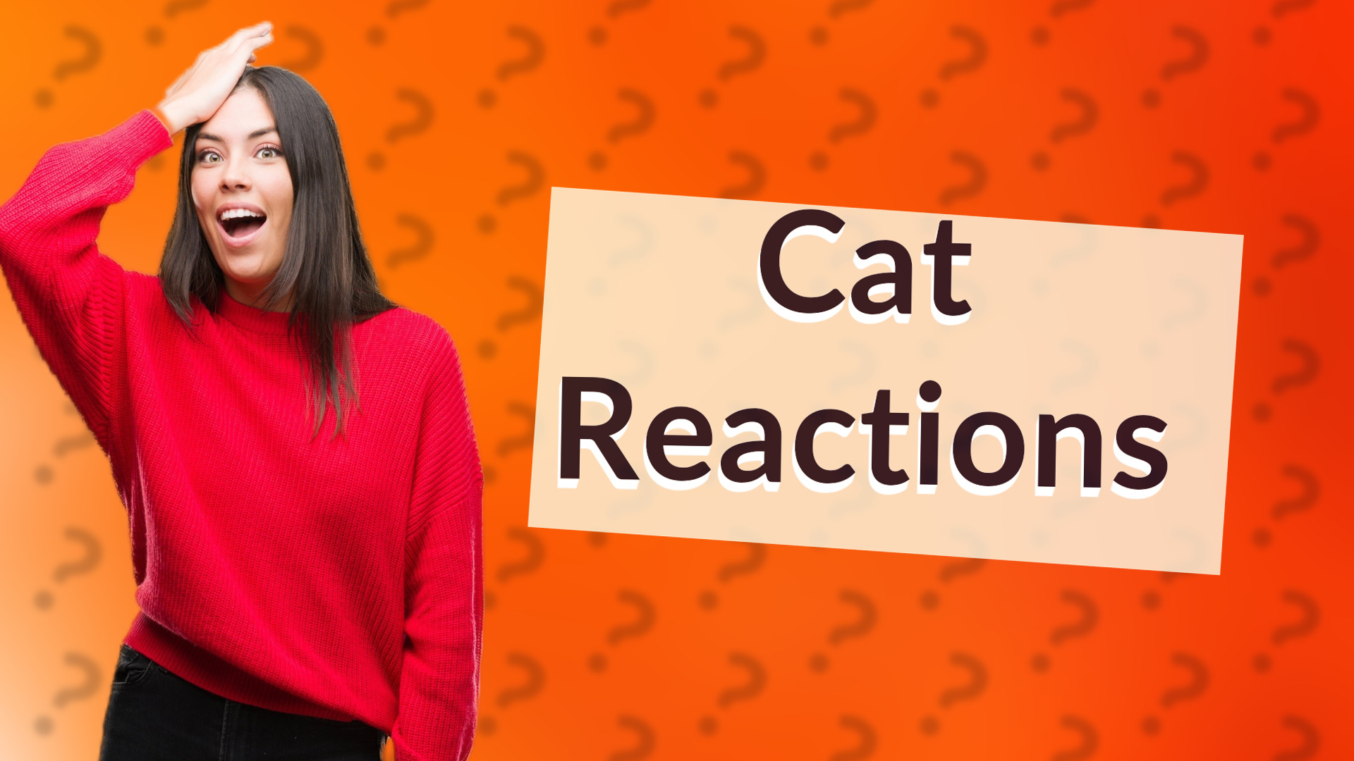 Cat Reactions