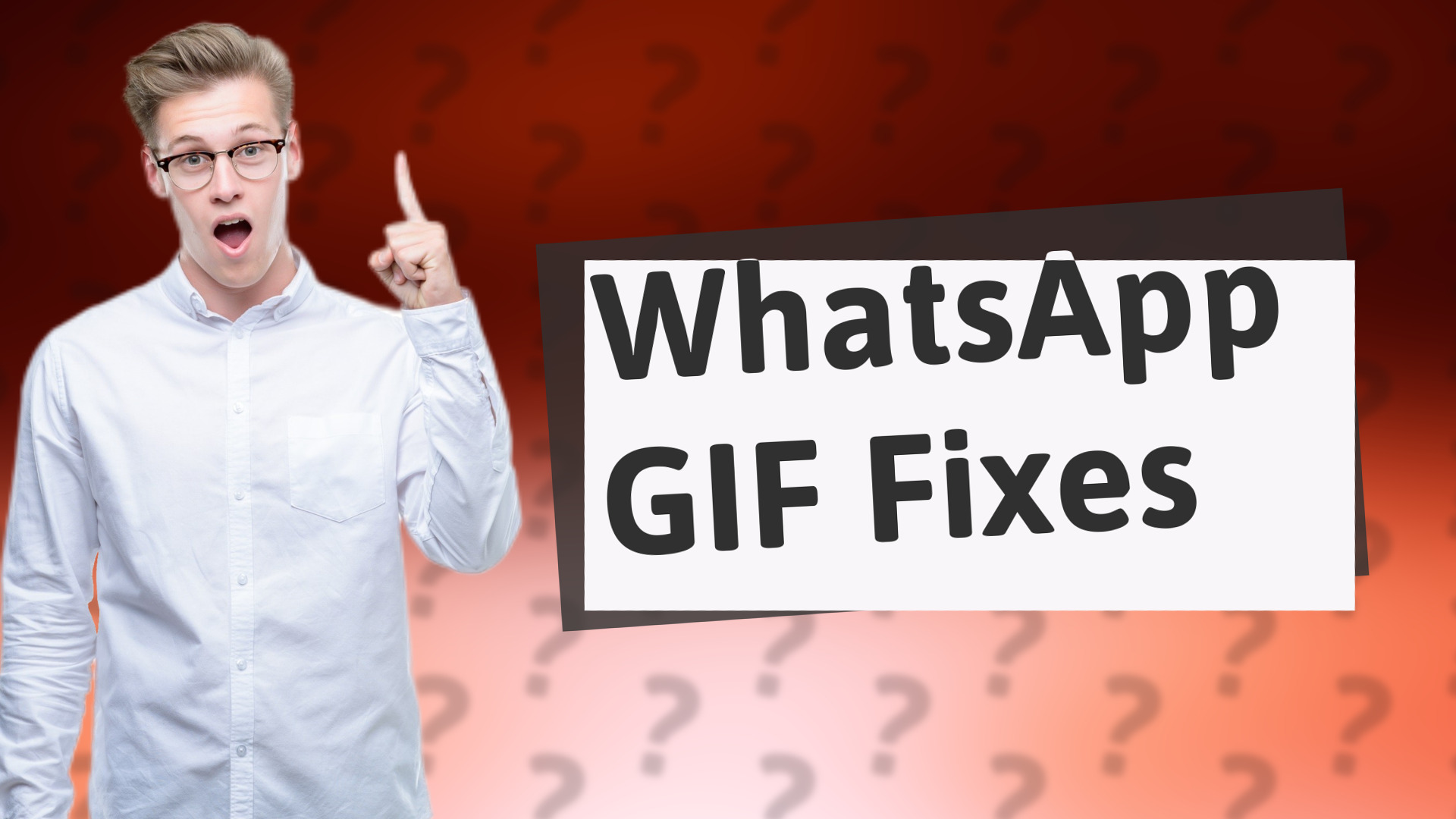 WhatsApp GIF Fixes
