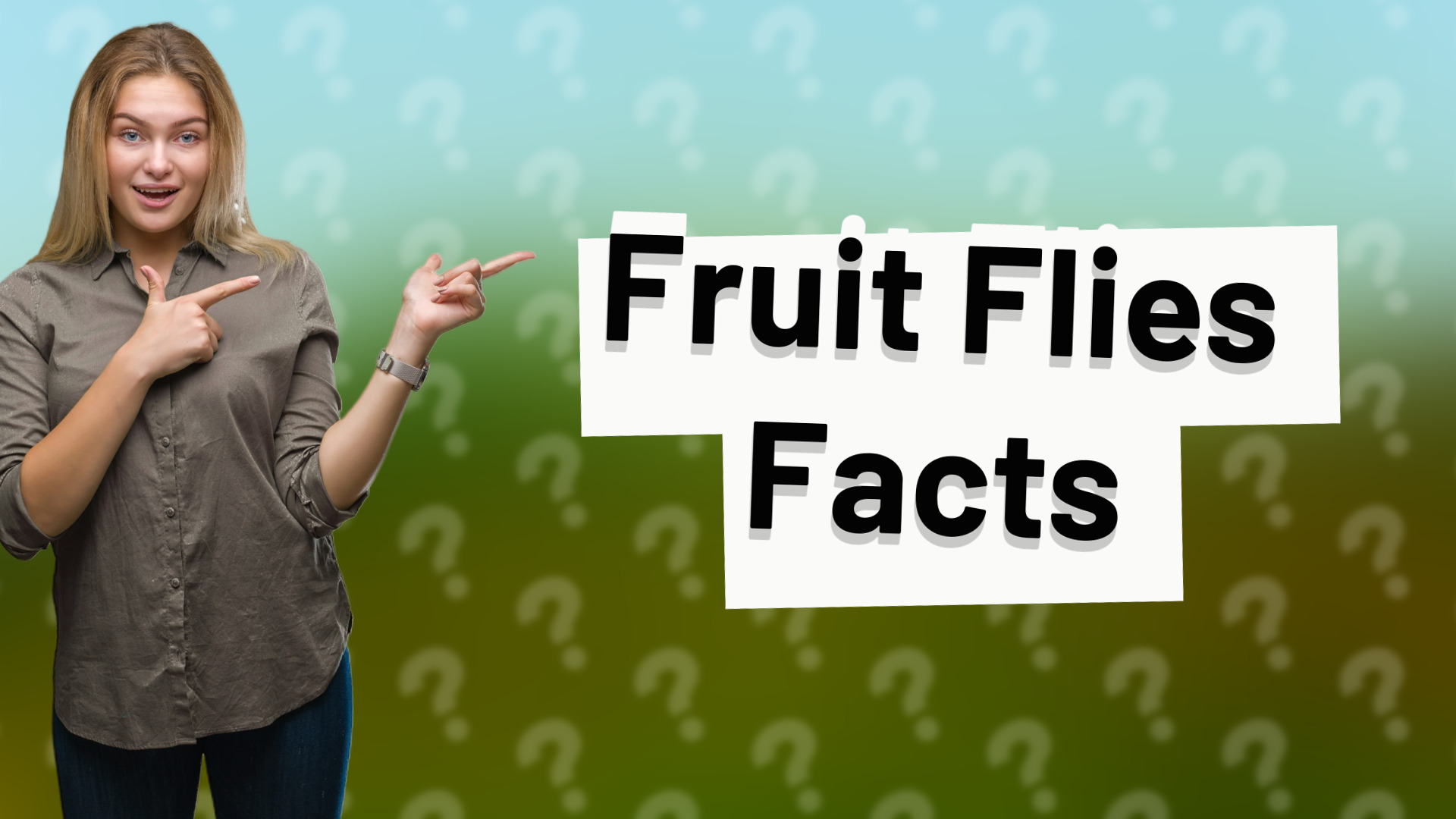 Fruit Flies Facts