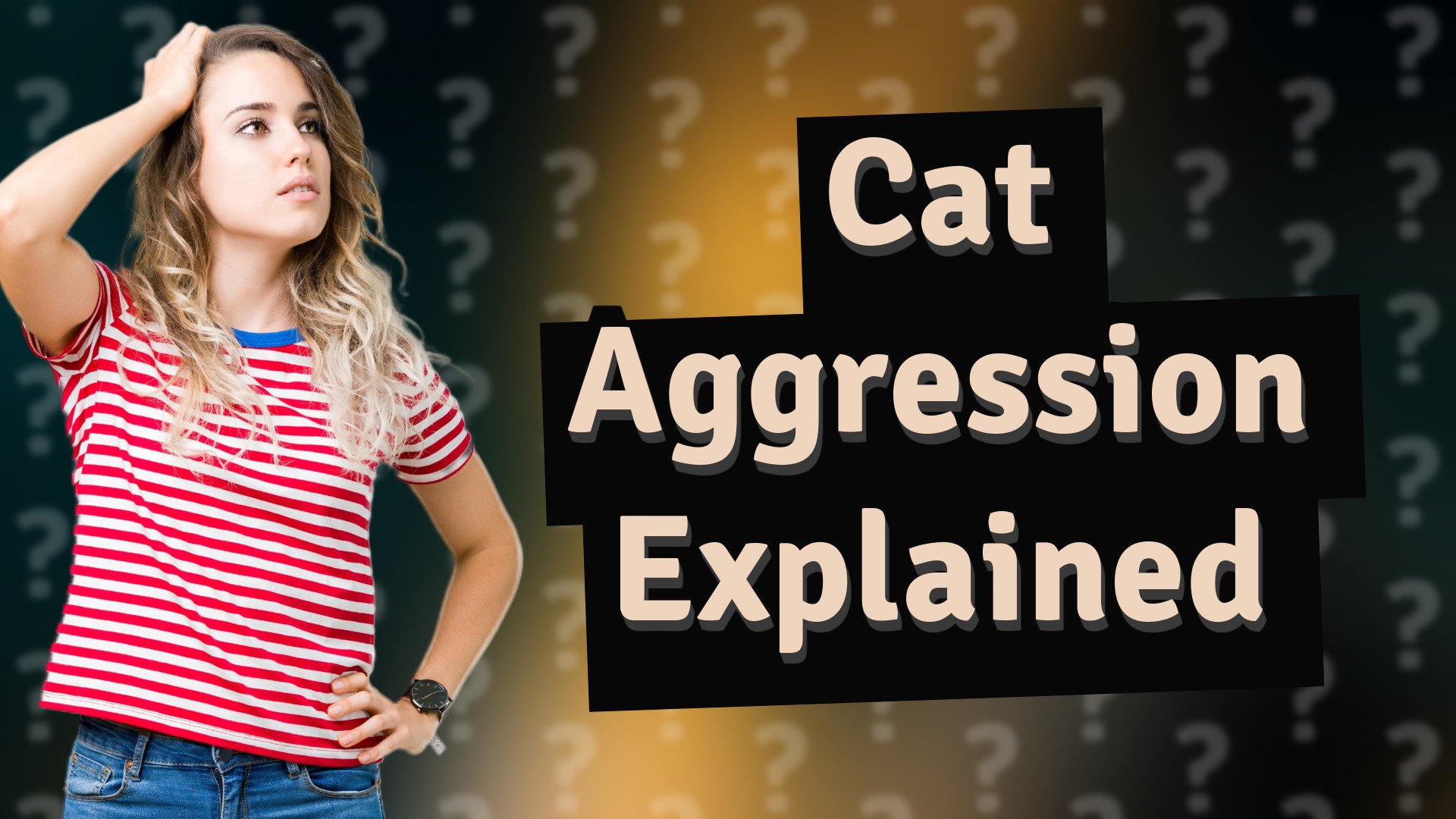 Cat Aggression Explained