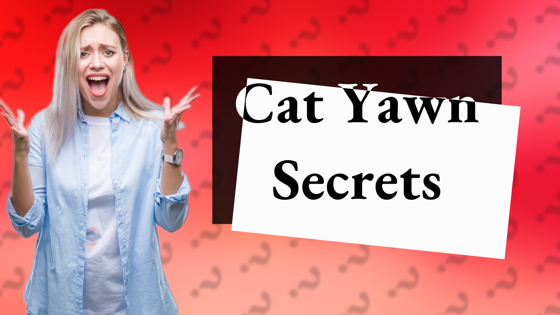 Cat Yawn Secrets