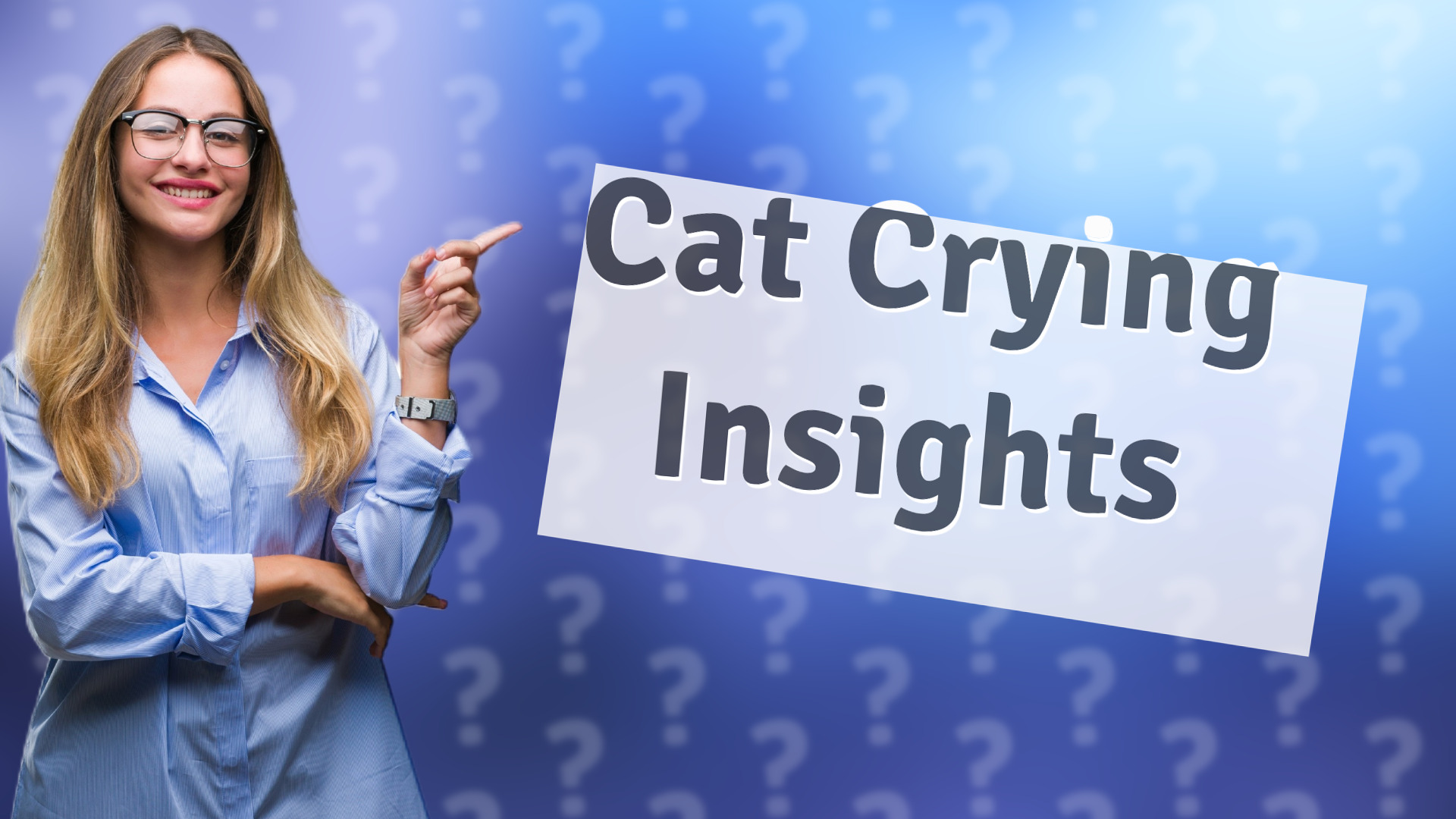 Cat Crying Insights