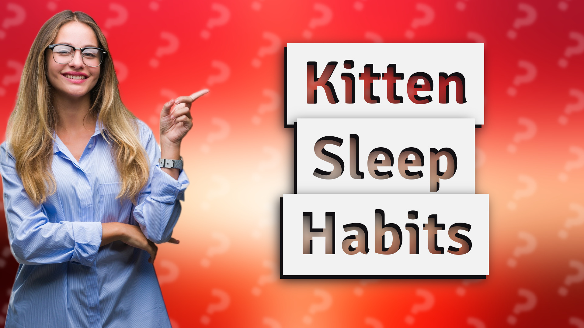 Kitten Sleep Habits