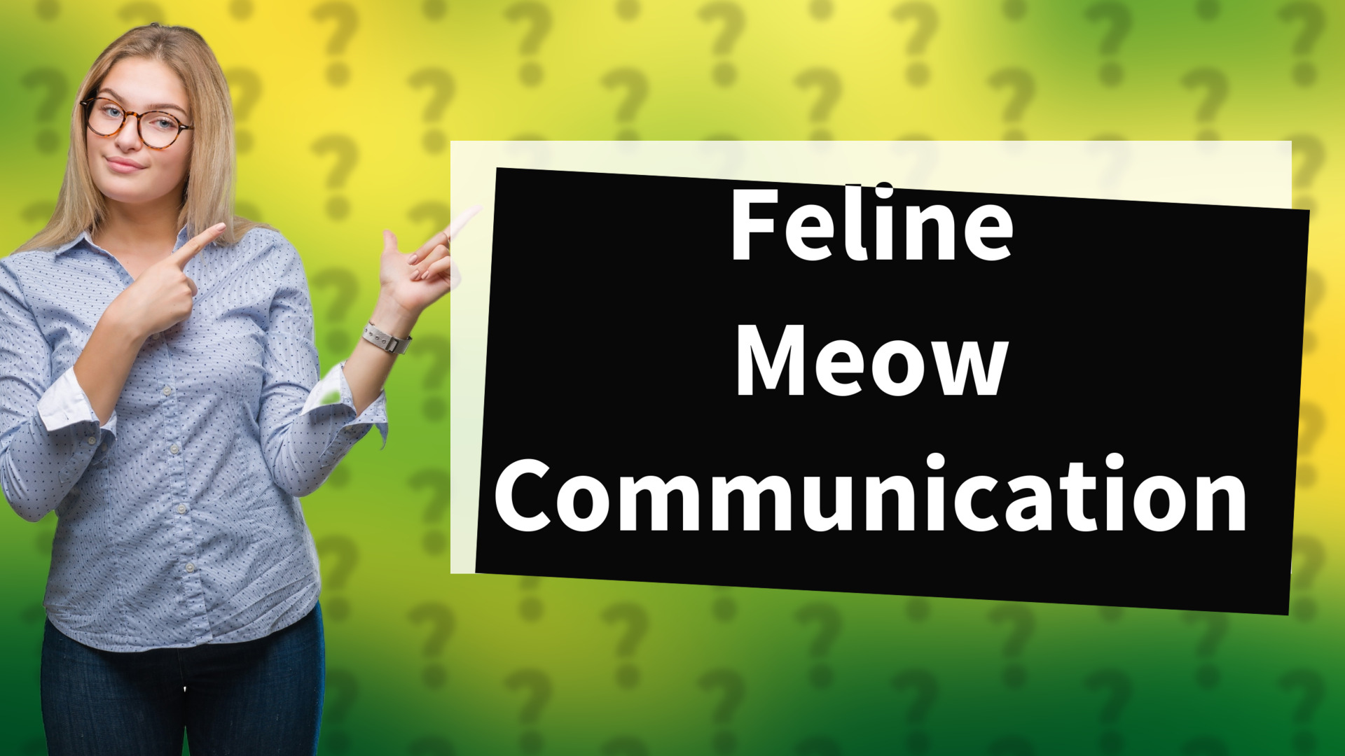 Feline Meow Communication