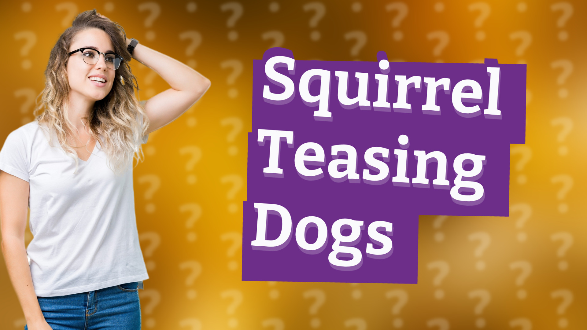 Squirrel Teasing Dogs