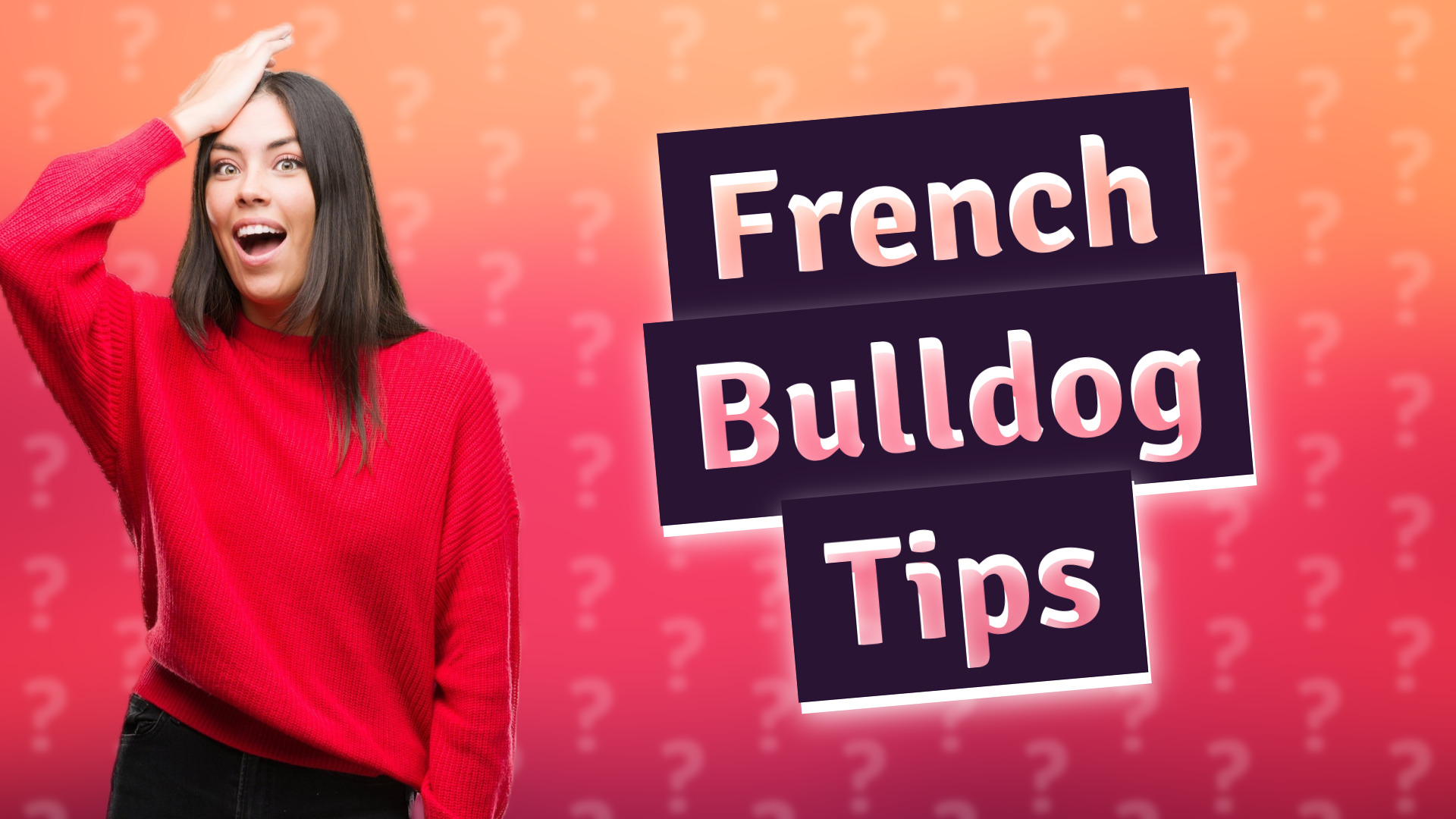 French Bulldog Tips