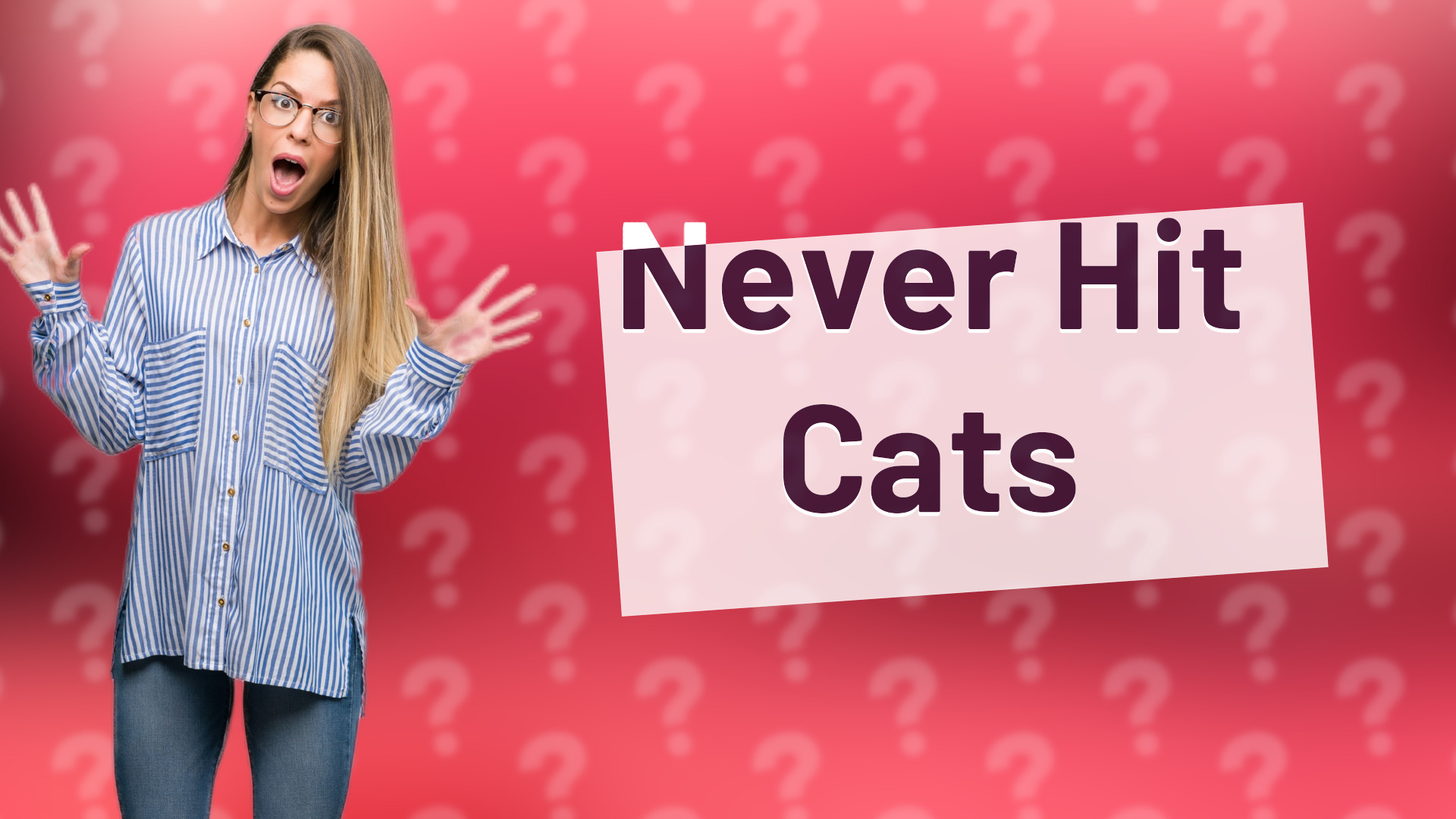 Never Hit Cats